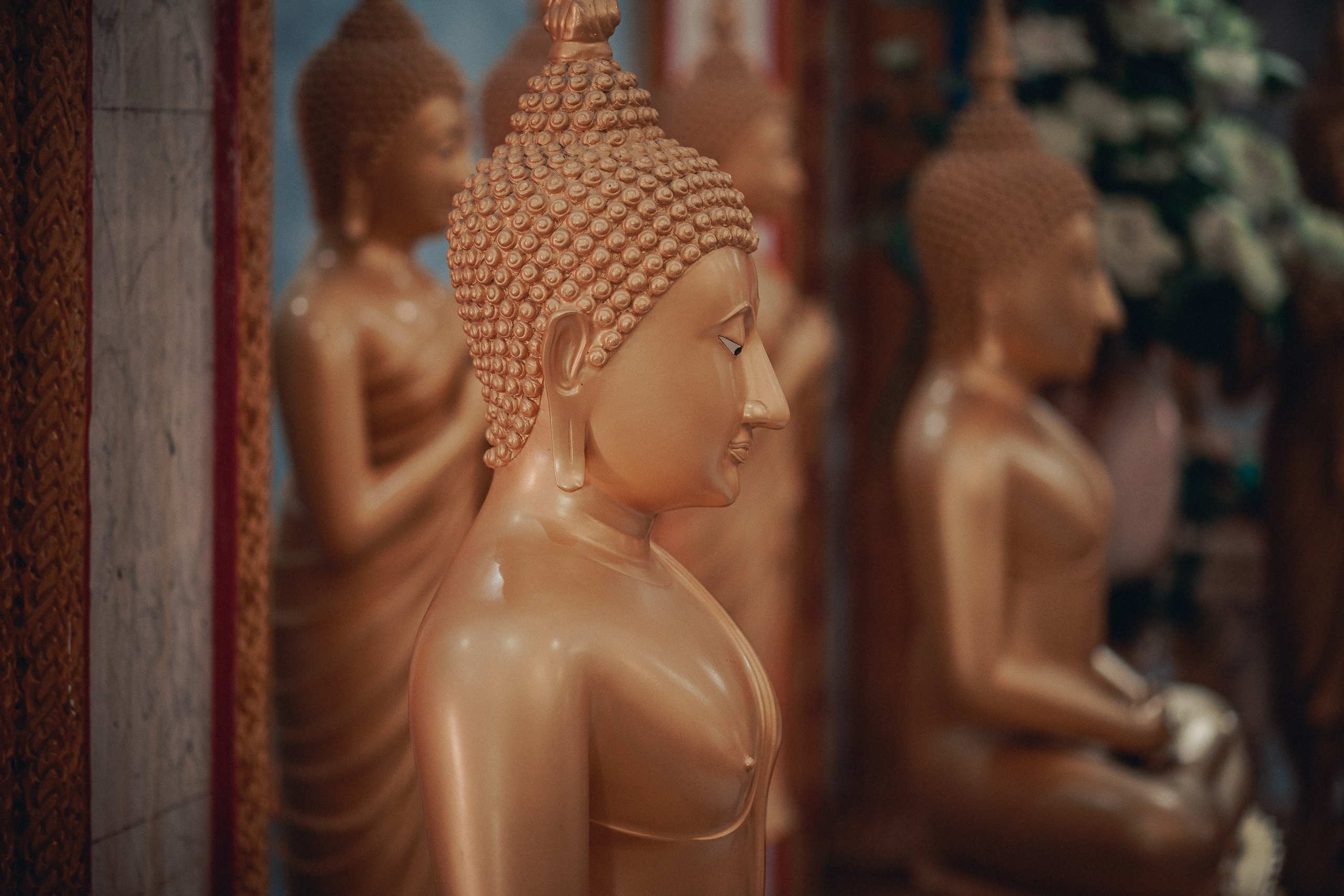 Таиланд. Фотошкола ArtFotoLife для начинающих и продвинутых фотографов