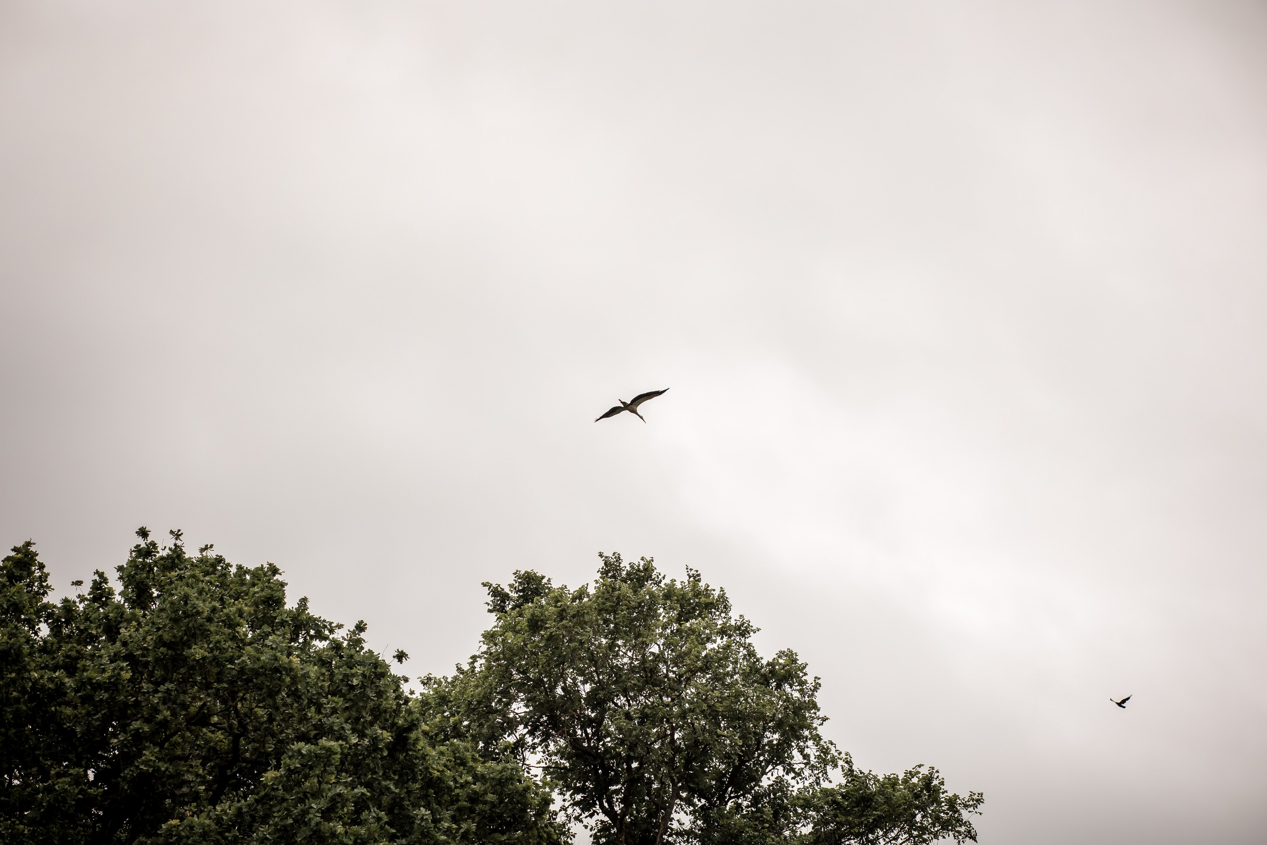 Катя с детками