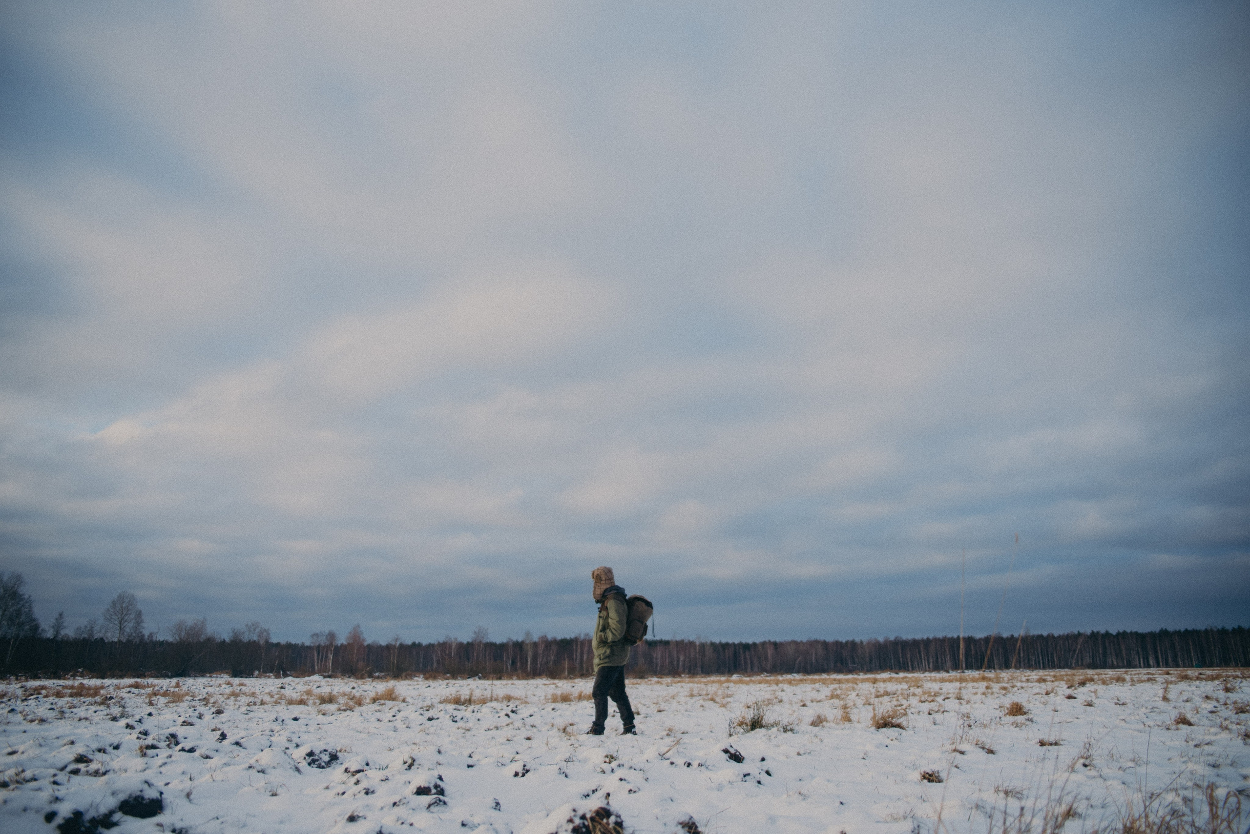 Тарпаны. Anita_photo