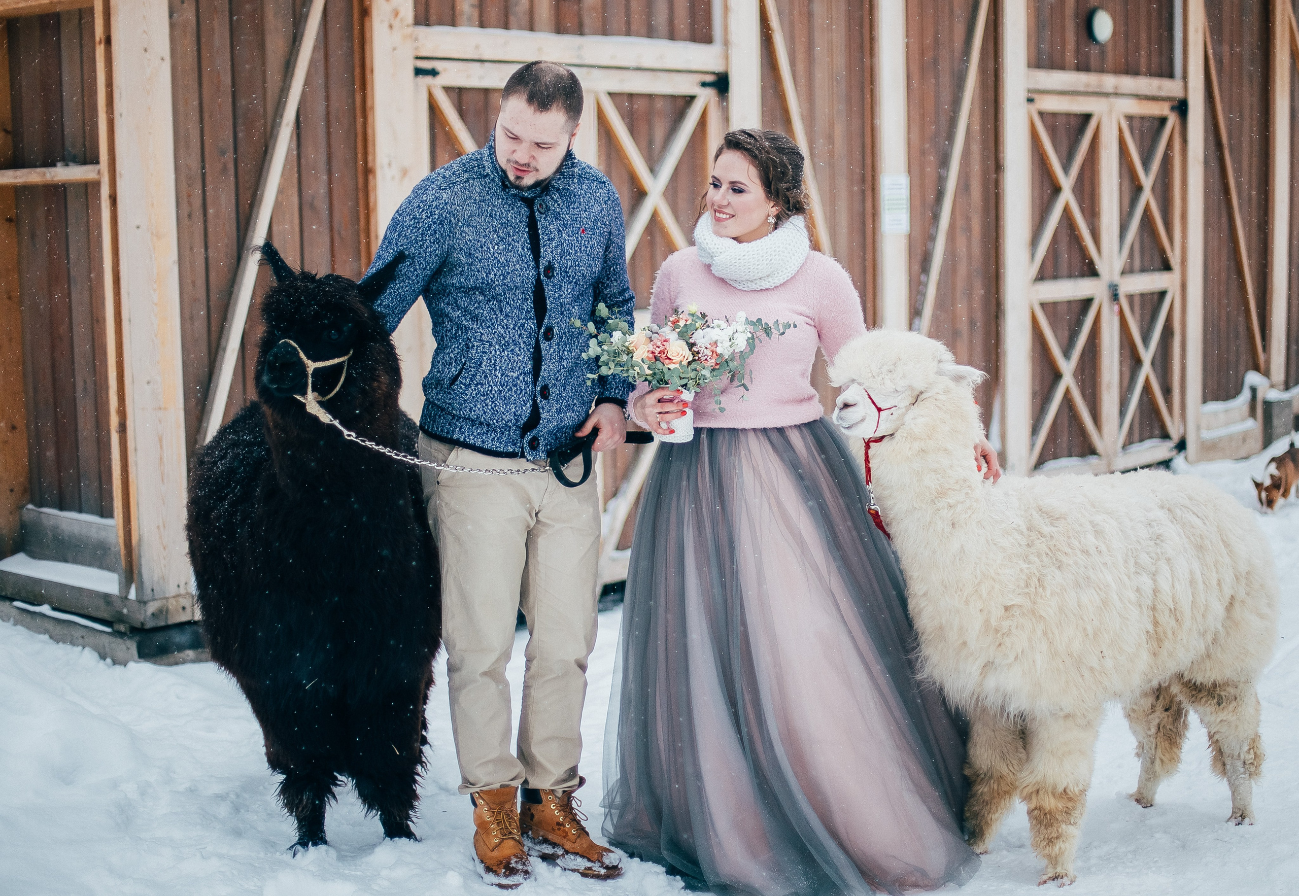 Антон и Анастасия. Свадебный и семейный фотограф Екатерина Бубнова