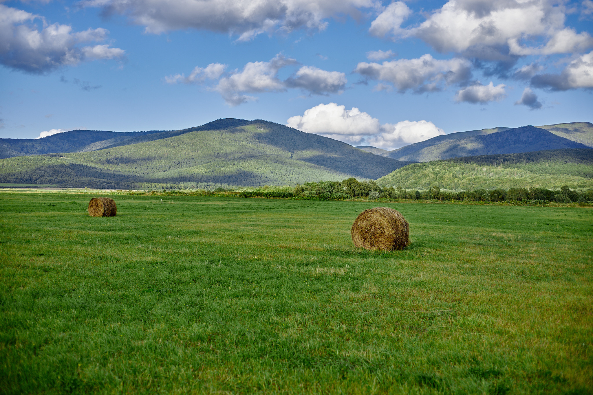 Остров Сахалин. Фотограф в Южно-Сахалинске Вадим Бороненков