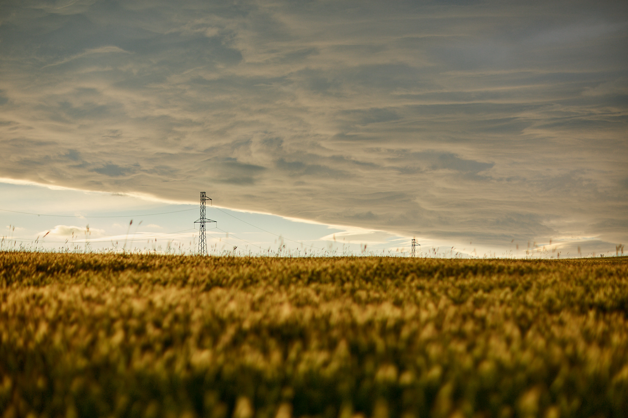 Остров Сахалин. Фотограф в Южно-Сахалинске Вадим Бороненков
