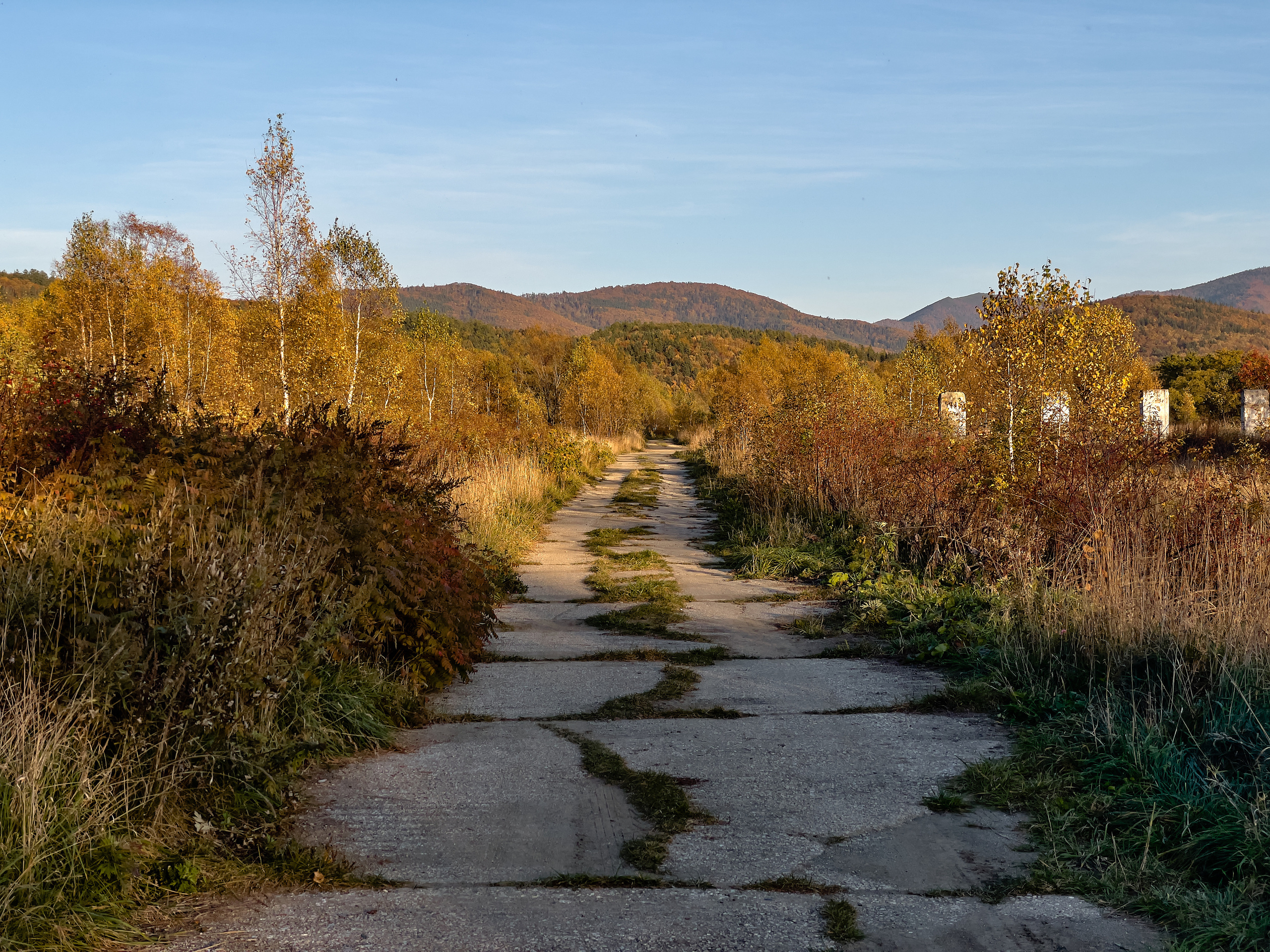 Остров Сахалин. Фотограф в Южно-Сахалинске Вадим Бороненков