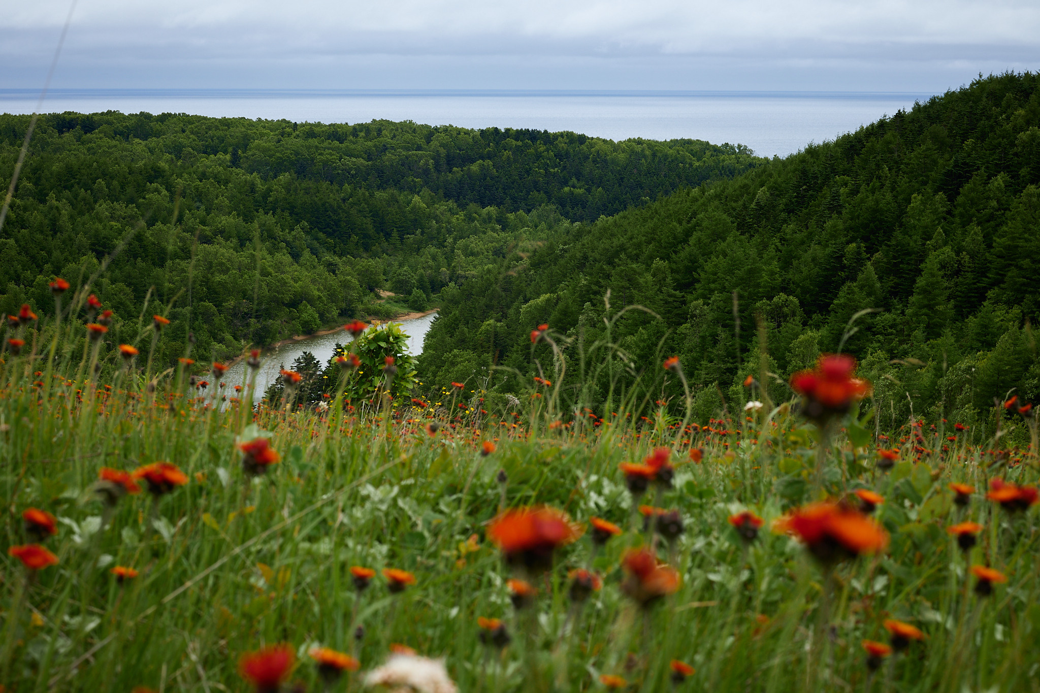 Остров Сахалин. Фотограф в Южно-Сахалинске Вадим Бороненков