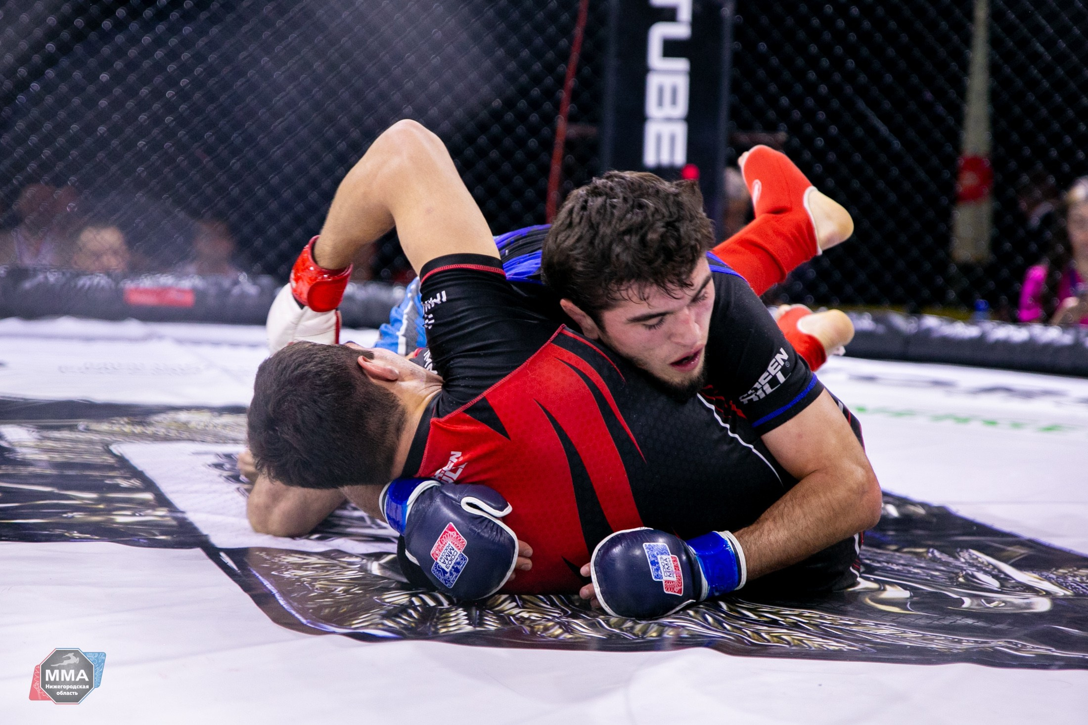 РЕПОРТАЖ ЕДИНОБОРСТВА. Спортивный фотограф Нижний Новгород
