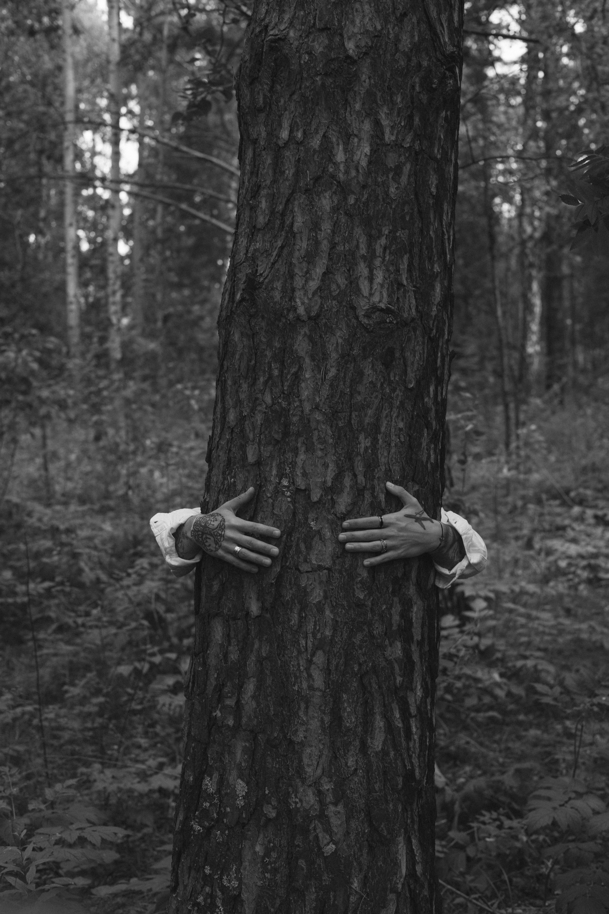 ТАНЯ ТВОРЧЕСКАЯ. Фотограф Красноярск съемки лавстори, фотосессия в студии, портретная съемка, творческие фотосессии