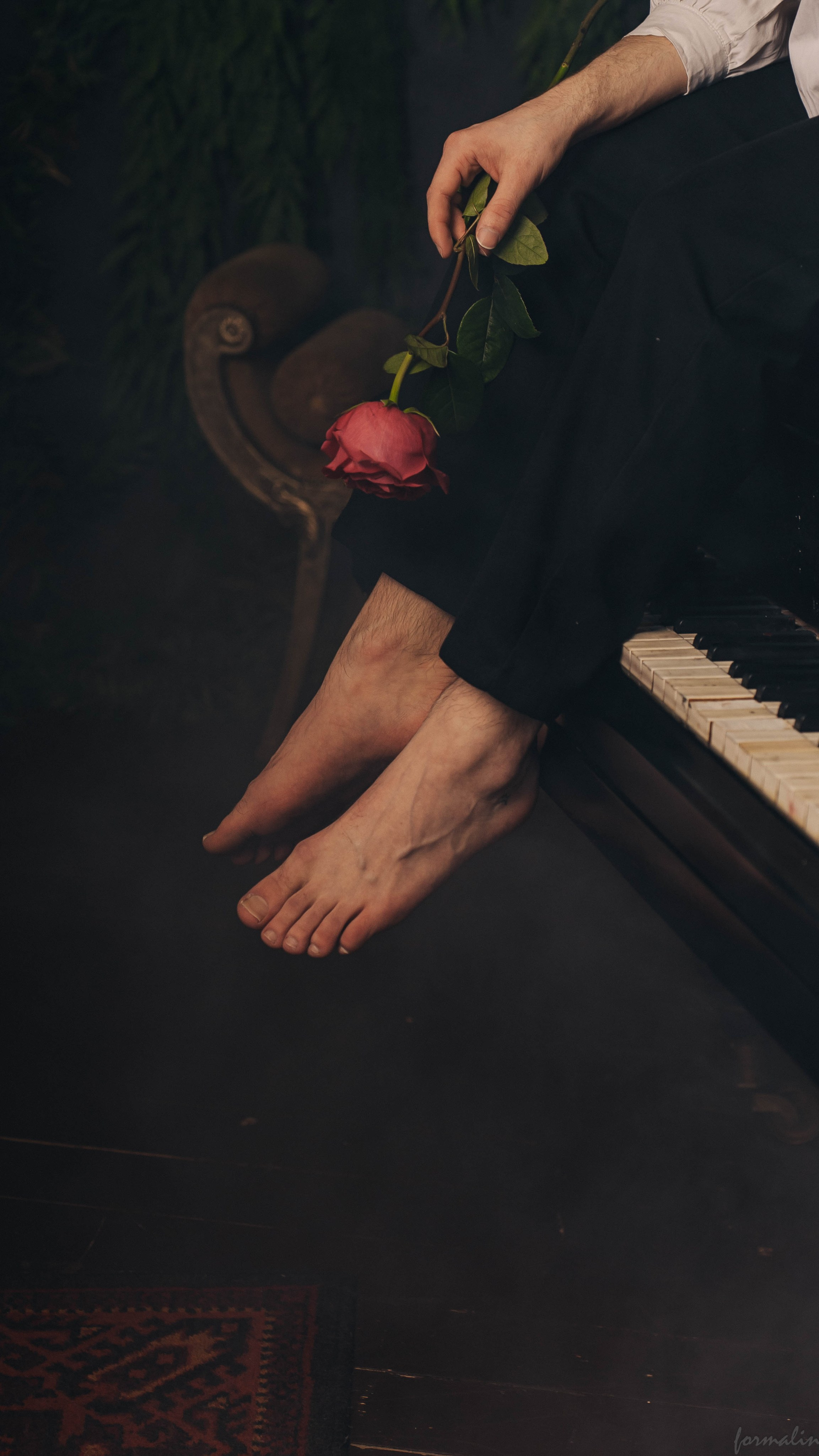 Дориан Грей. Алиса Никитцова | Фотограф в Казани