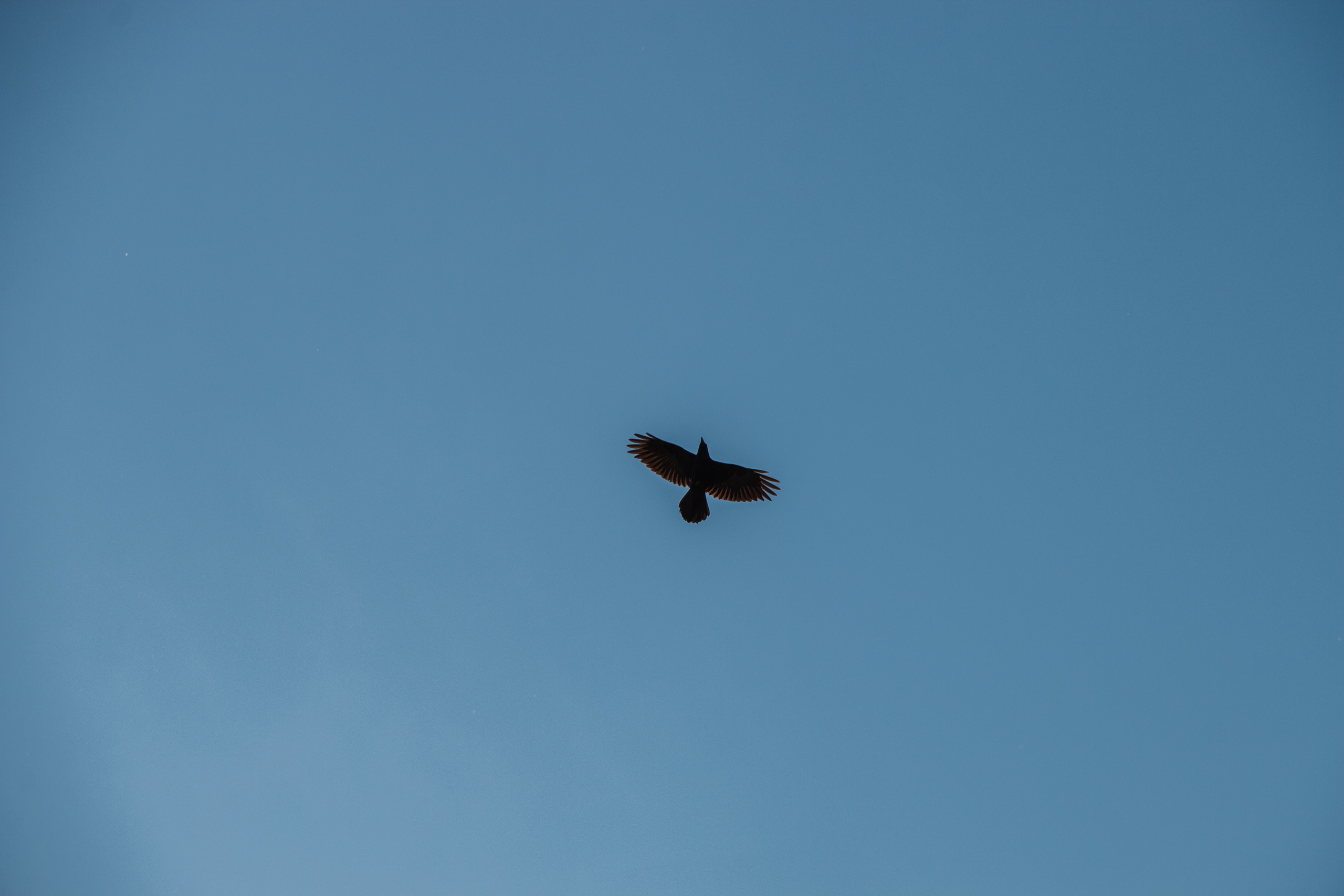 Хребет Нары | Август 2019. Andrew Sozonov visual artist