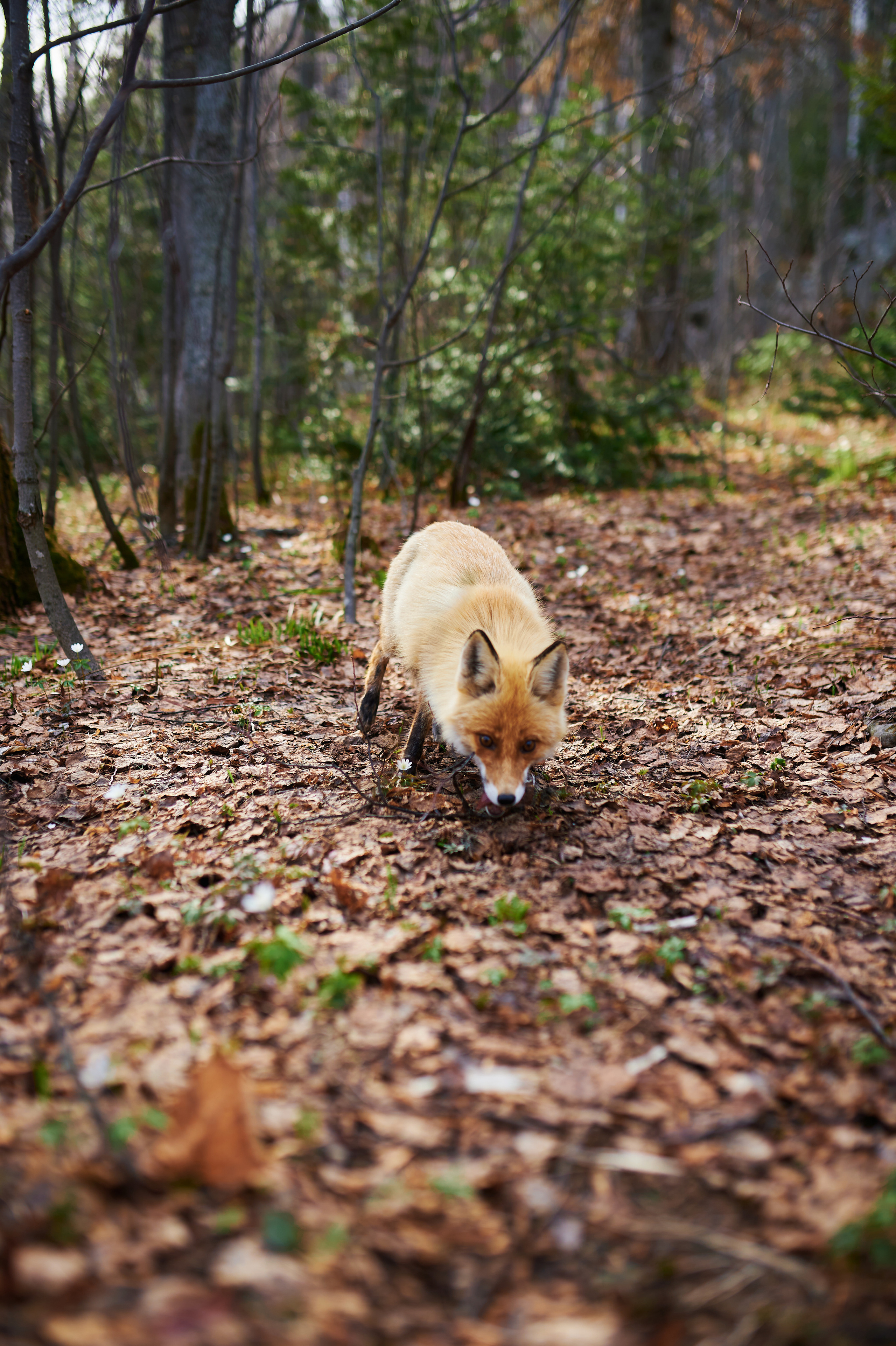 Фотографии национального парка Таганай. Andrew Sozonov visual artist