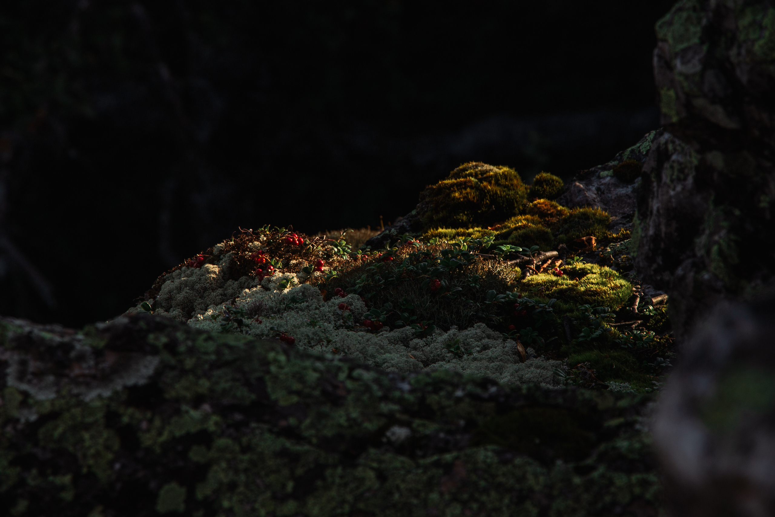 Хребет Нары | Август 2019. Andrew Sozonov visual artist