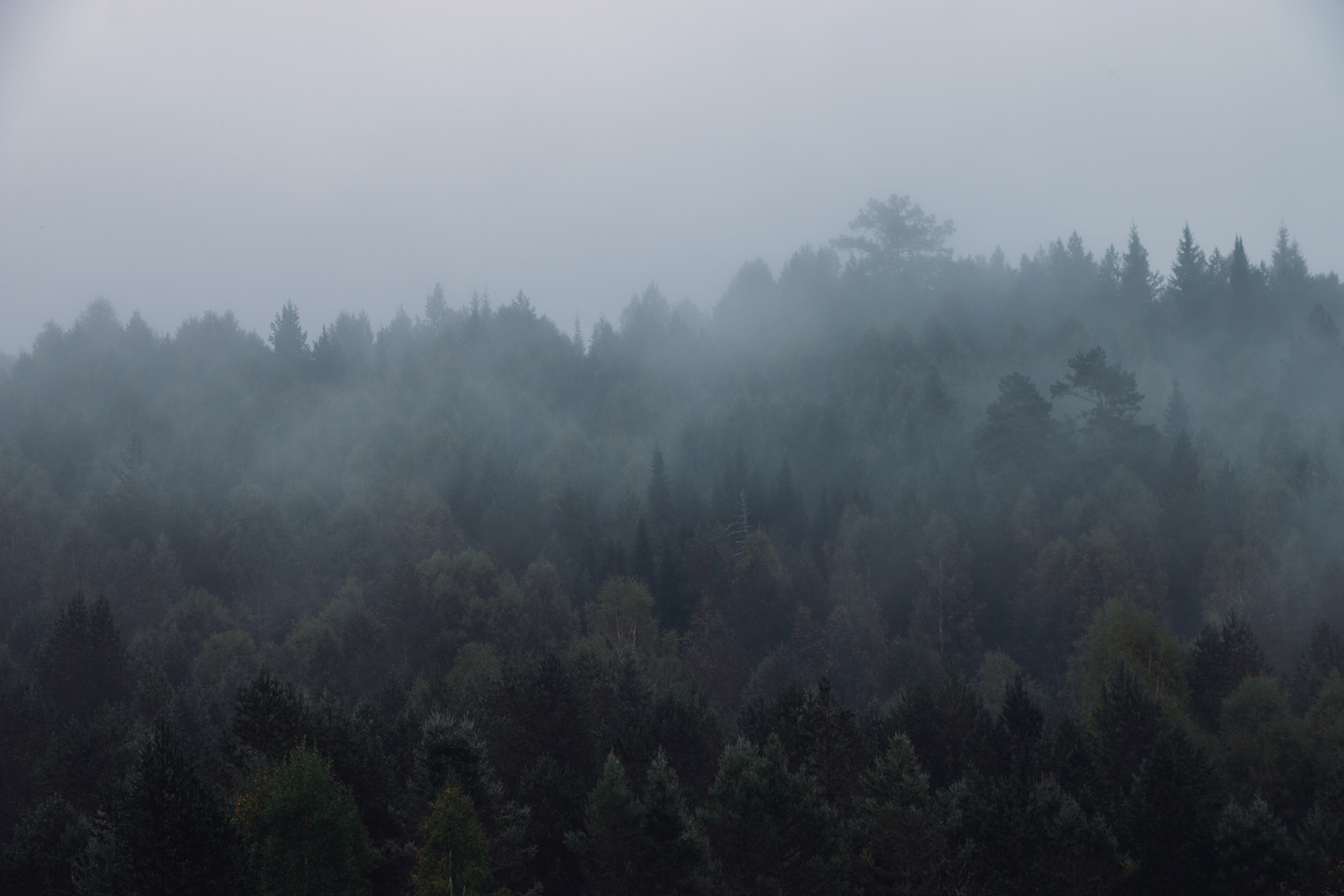 Хребет Нары | Август 2019. Andrew Sozonov visual artist