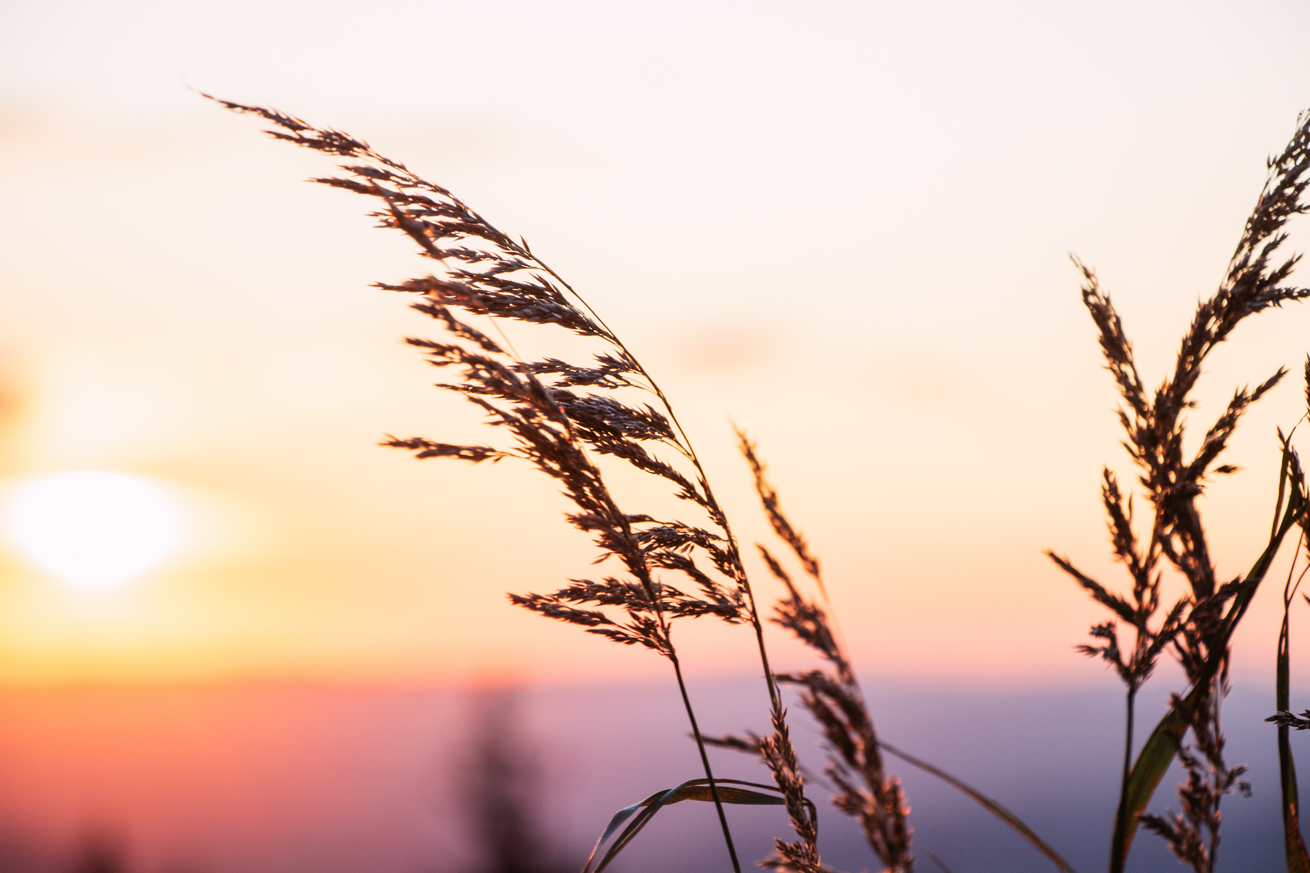 Хребет Нары | Август 2019. Andrew Sozonov visual artist