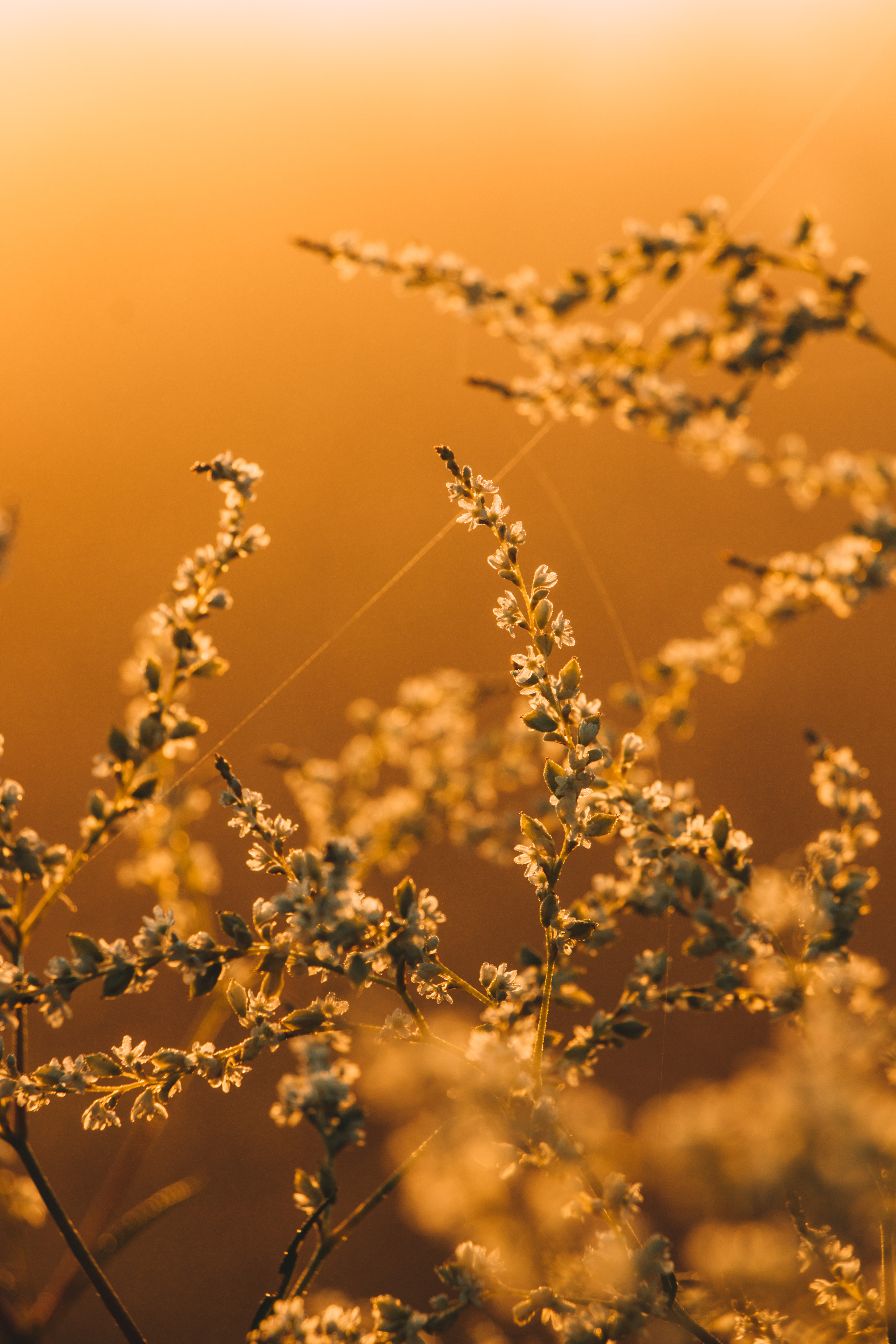 Куеда | Июль 2020. Andrew Sozonov visual artist