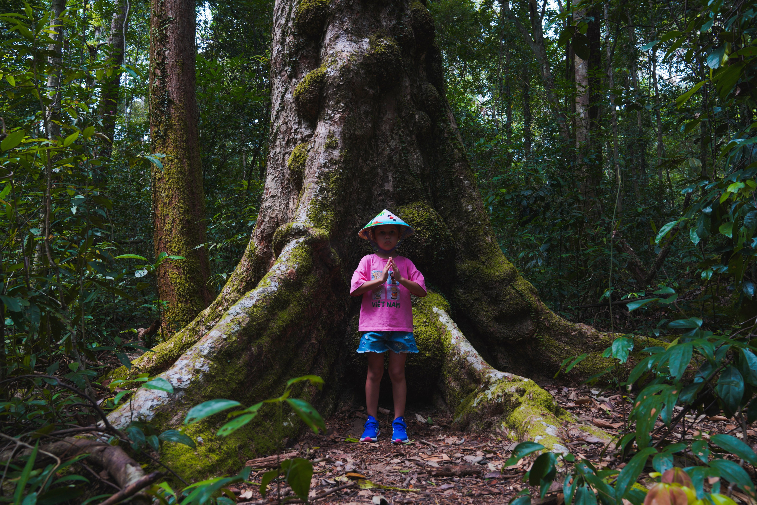Джип Тур. Фото Тур на военных американских джипах. Фотограф Сергей Кишкель Дананг Нячанг Фукуок