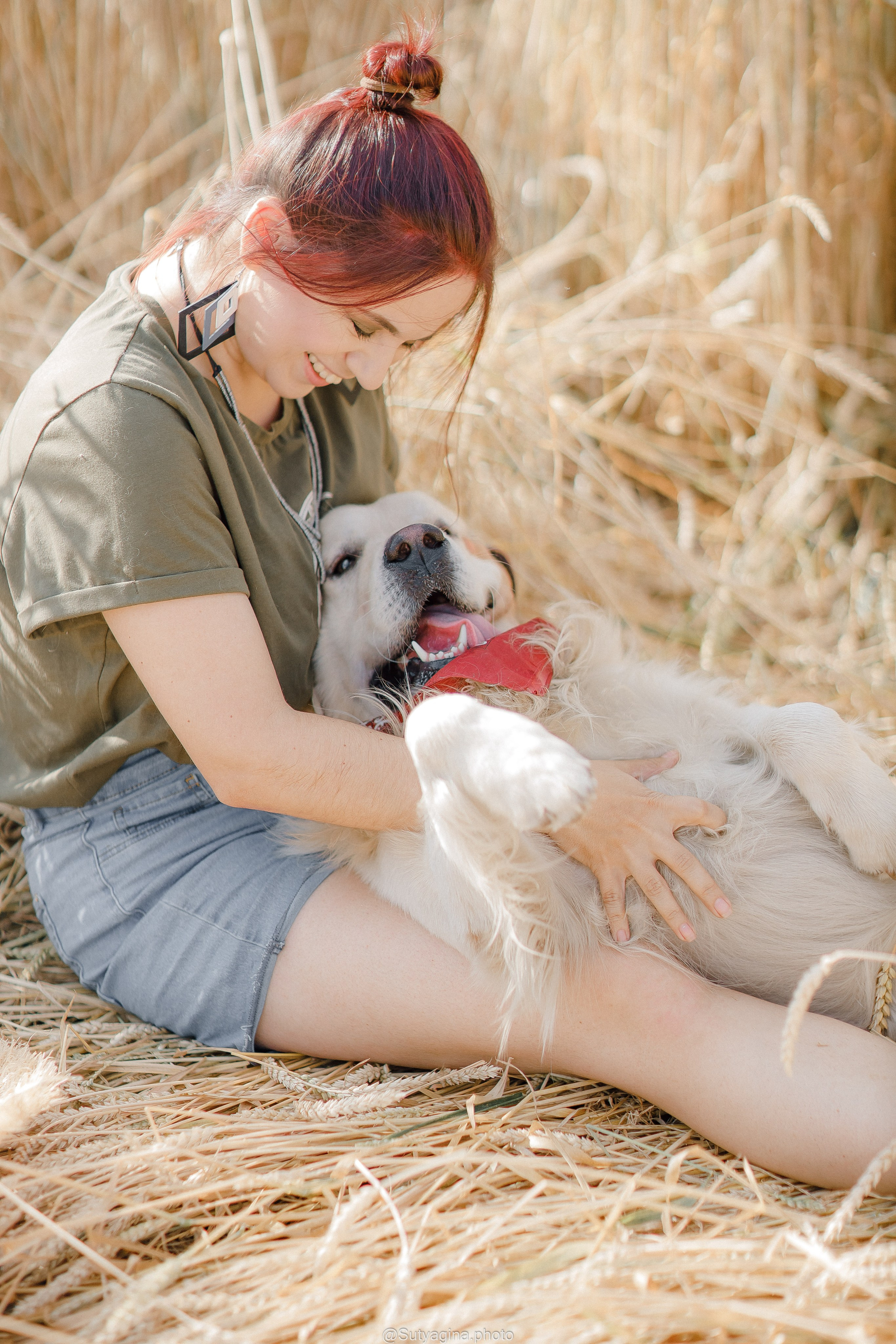 Золотистый ретривер Снежик. Свадебный и женский фотограф