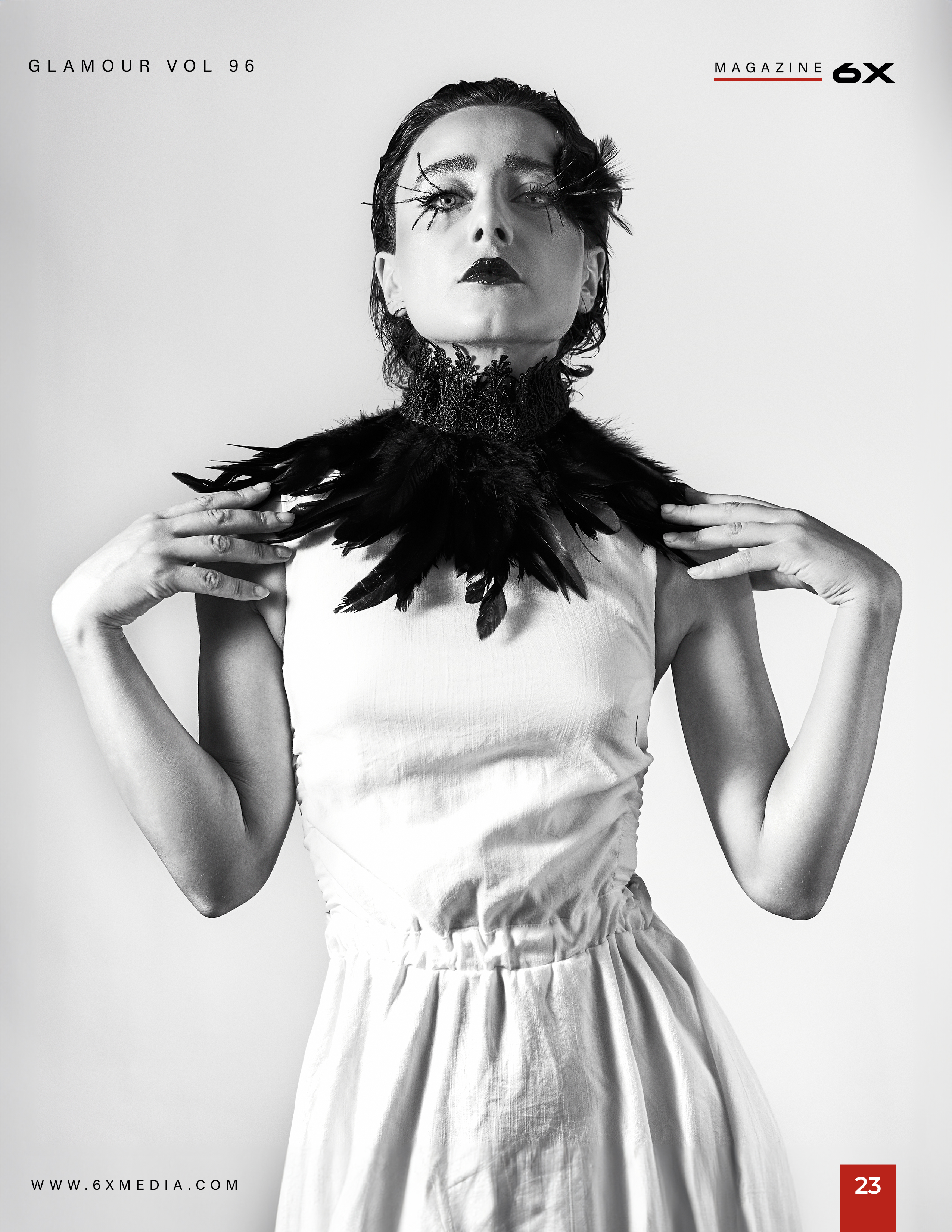 Черный лебедь. Фотограф в Москве Евгений Колесников