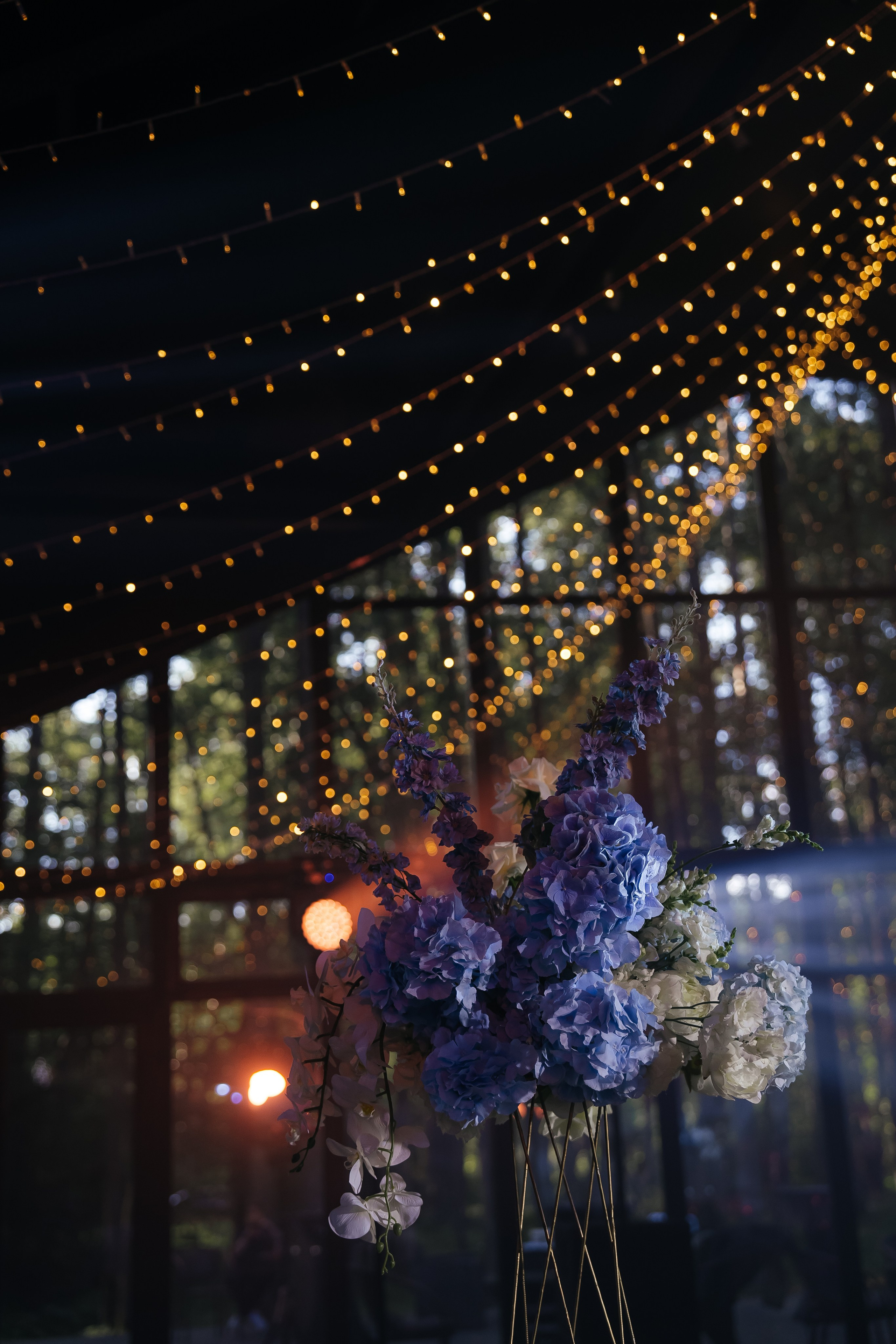 Veronika&Nikita. Валерия Солнцева свадебный и семейный фотограф