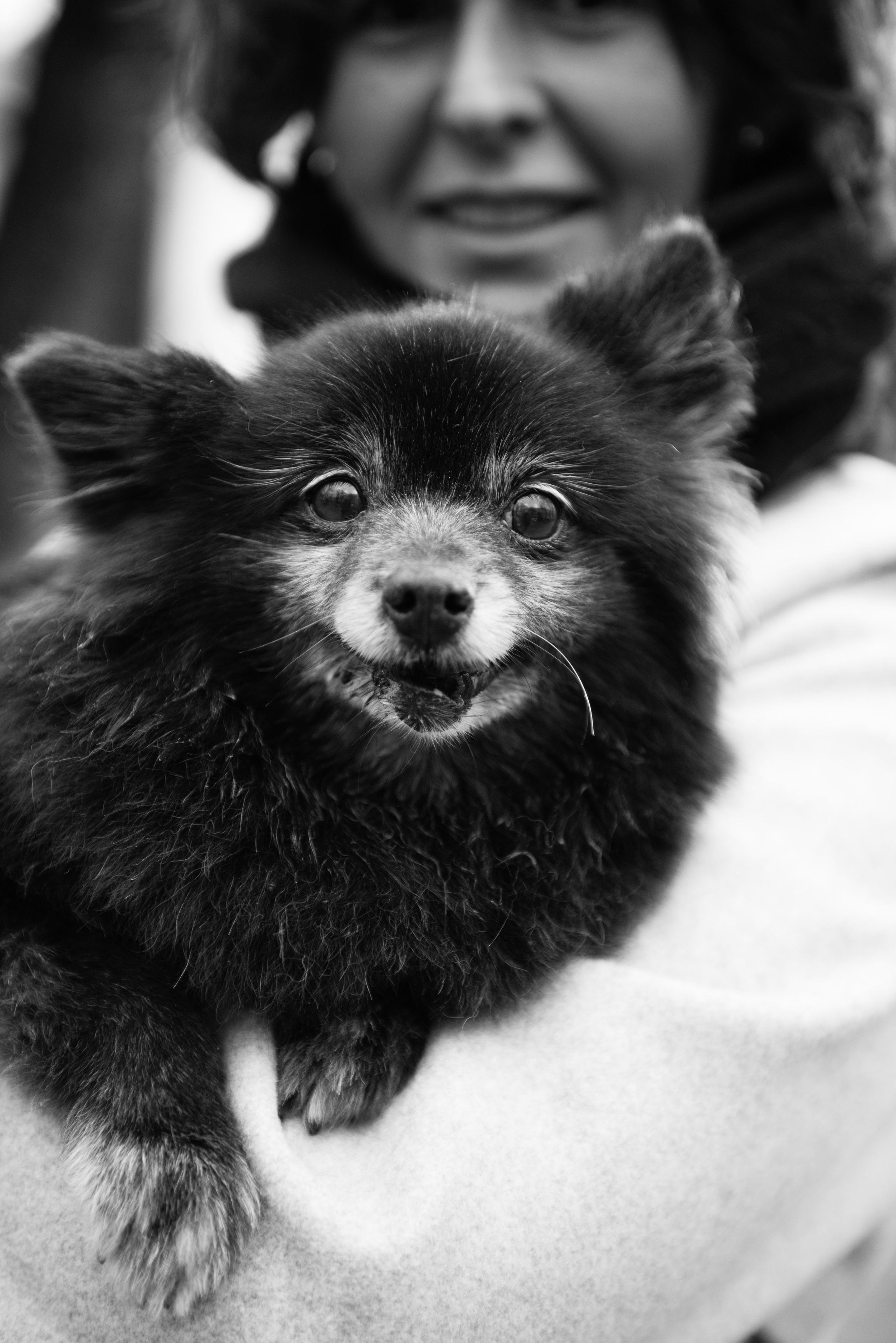 Фотопрогулка Катя Юшина и Дакота. Арт фотограф