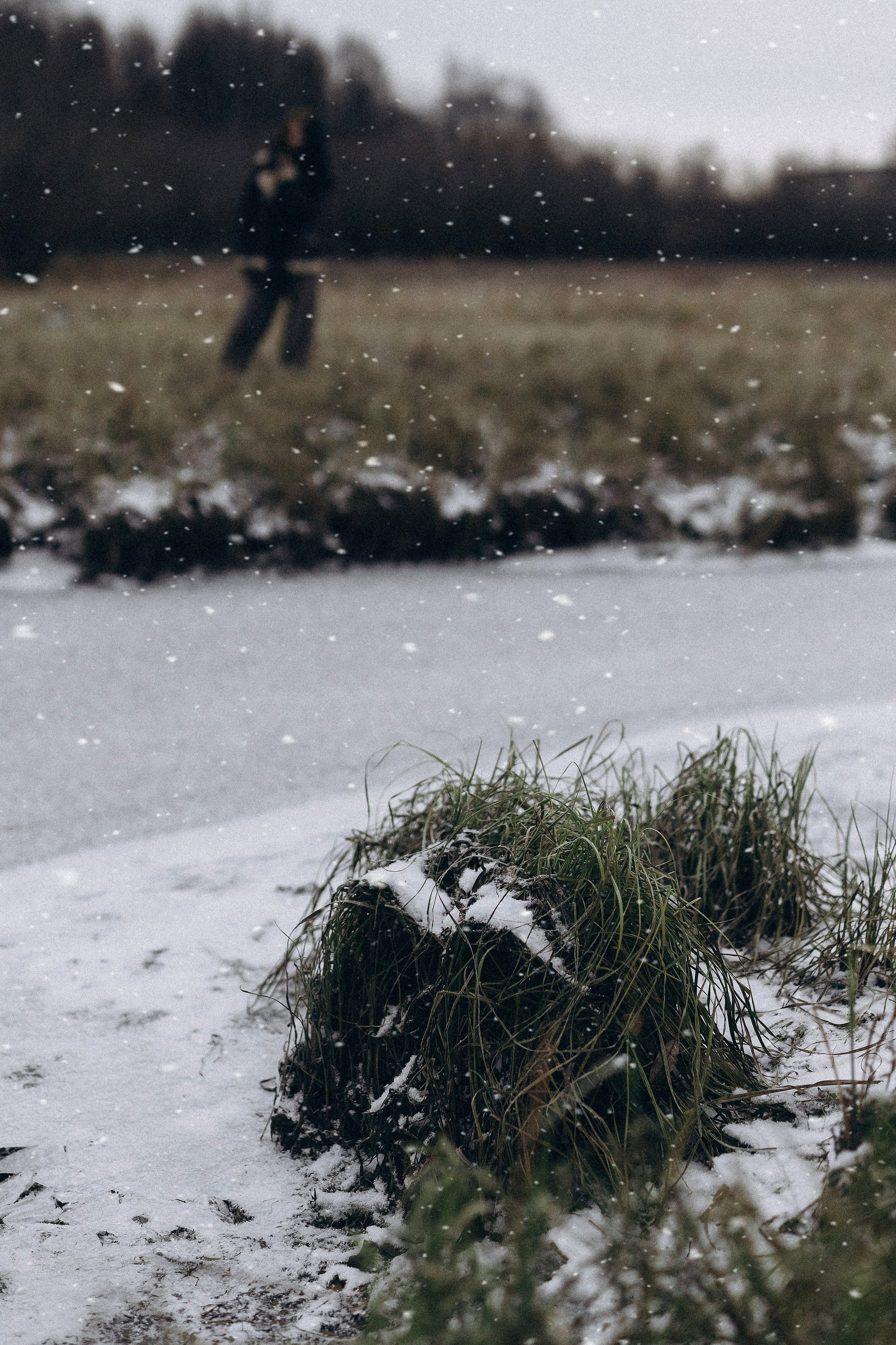 У реки. Портретный, семейный и свадебный фотограф в Нарьян-Маре