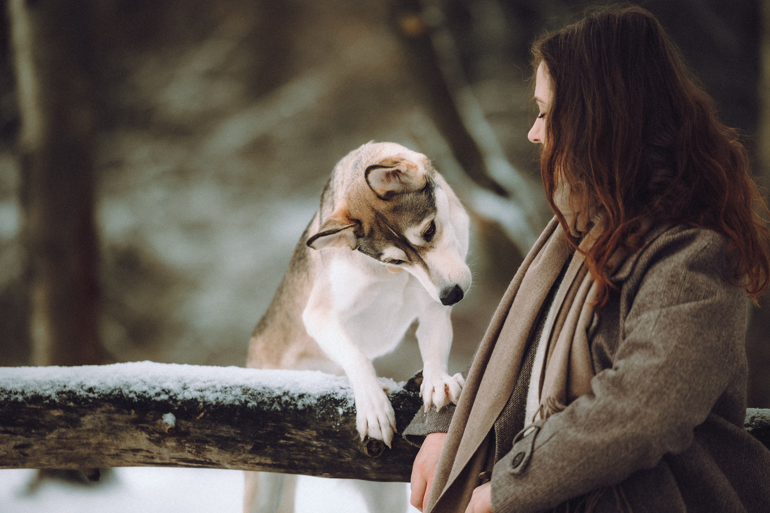 Аня и Рокси