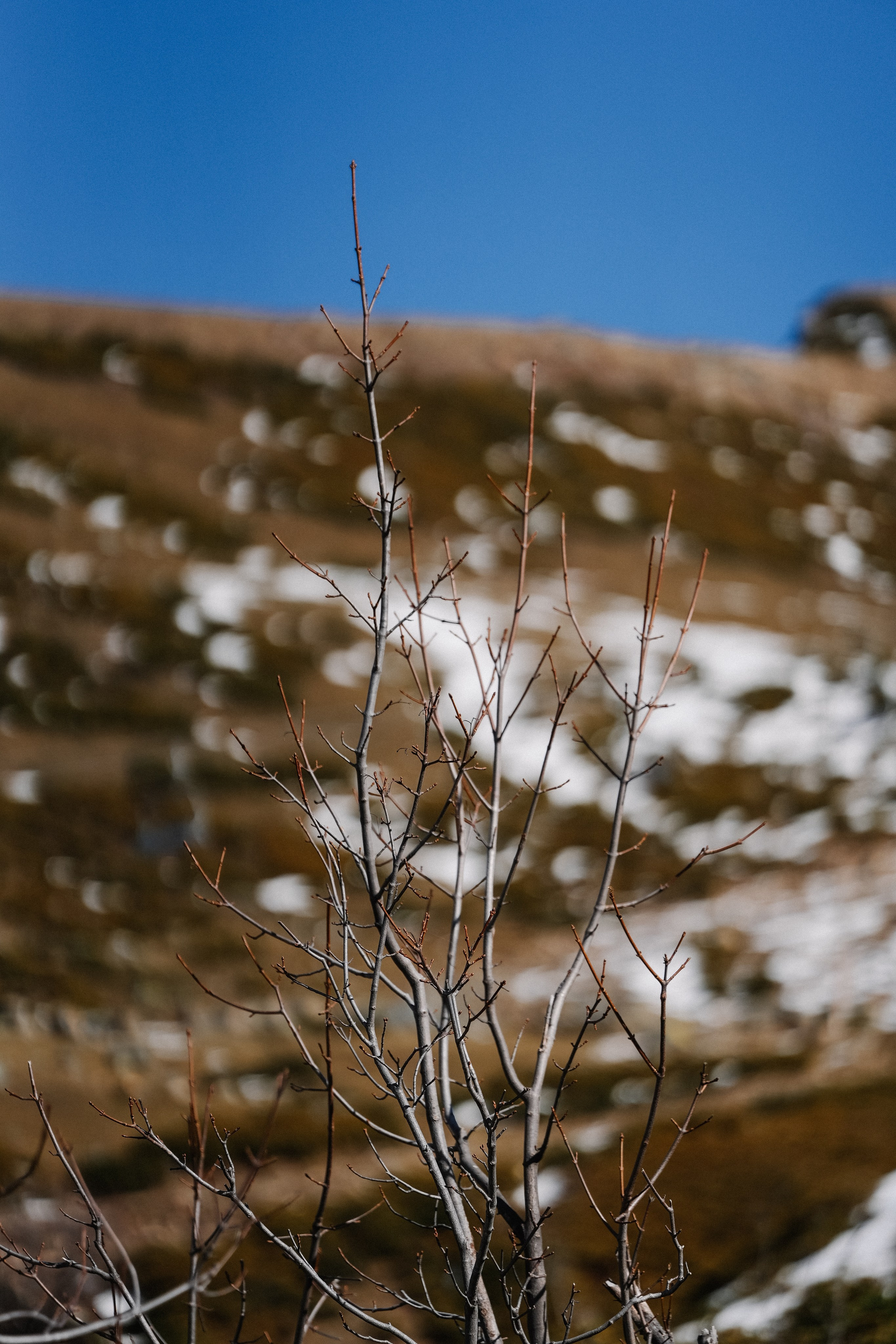 Роза Хутор ✽ Ноябрь. Репортажный фотограф | Роза Хутор Красная Поляна Сочи Сириус