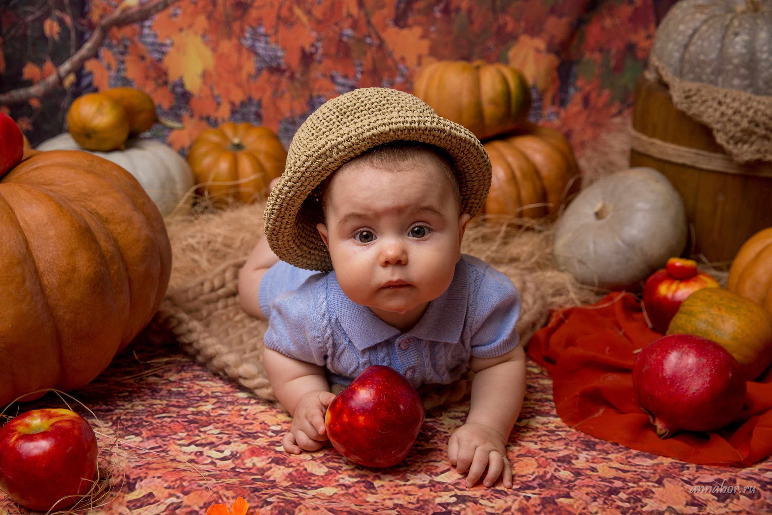 Фотопроект ТЫКВЫ. Фотограф новорожденных, детей до года и беременных в Симферополе