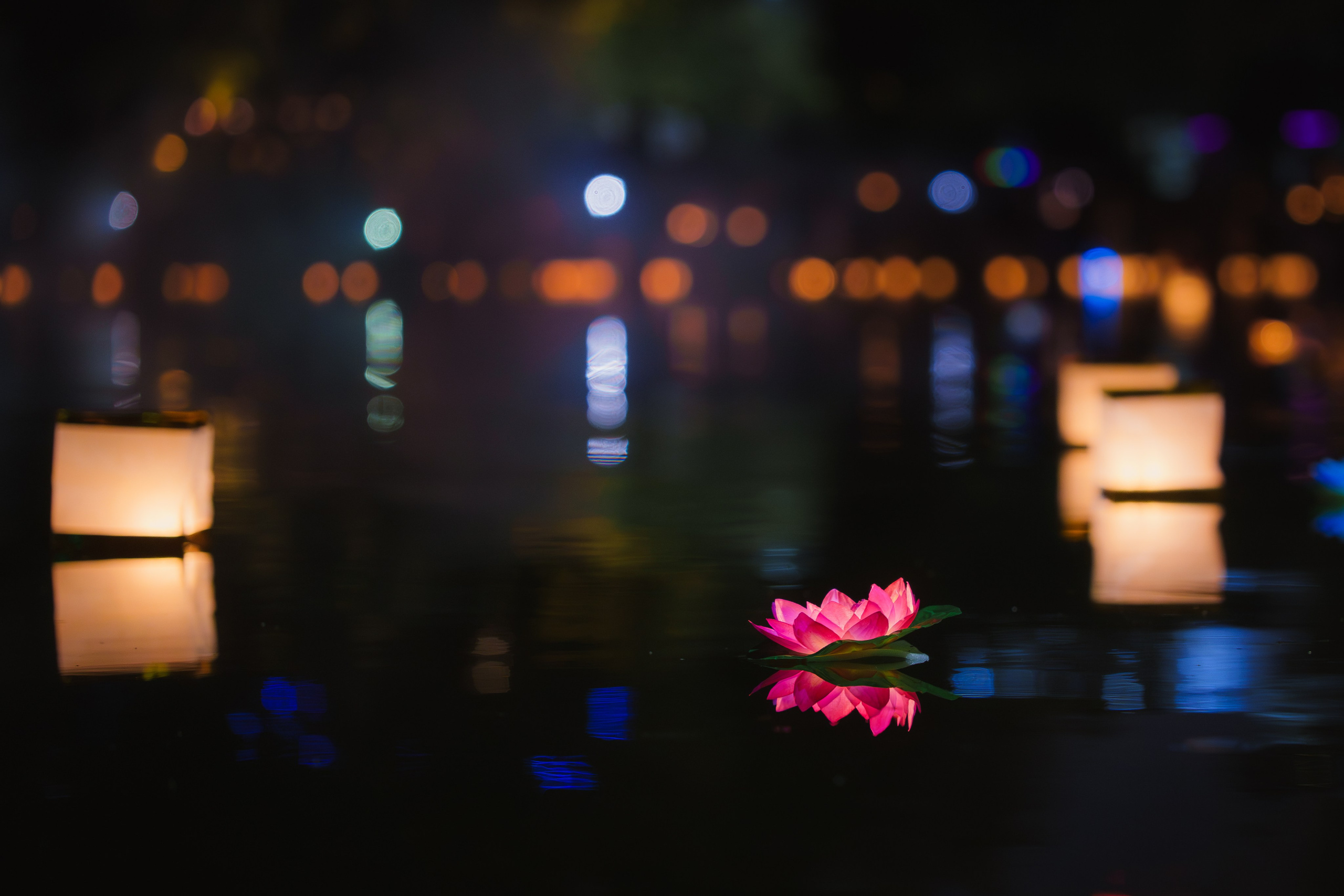 Фото-прогулка. Пенкин Александр