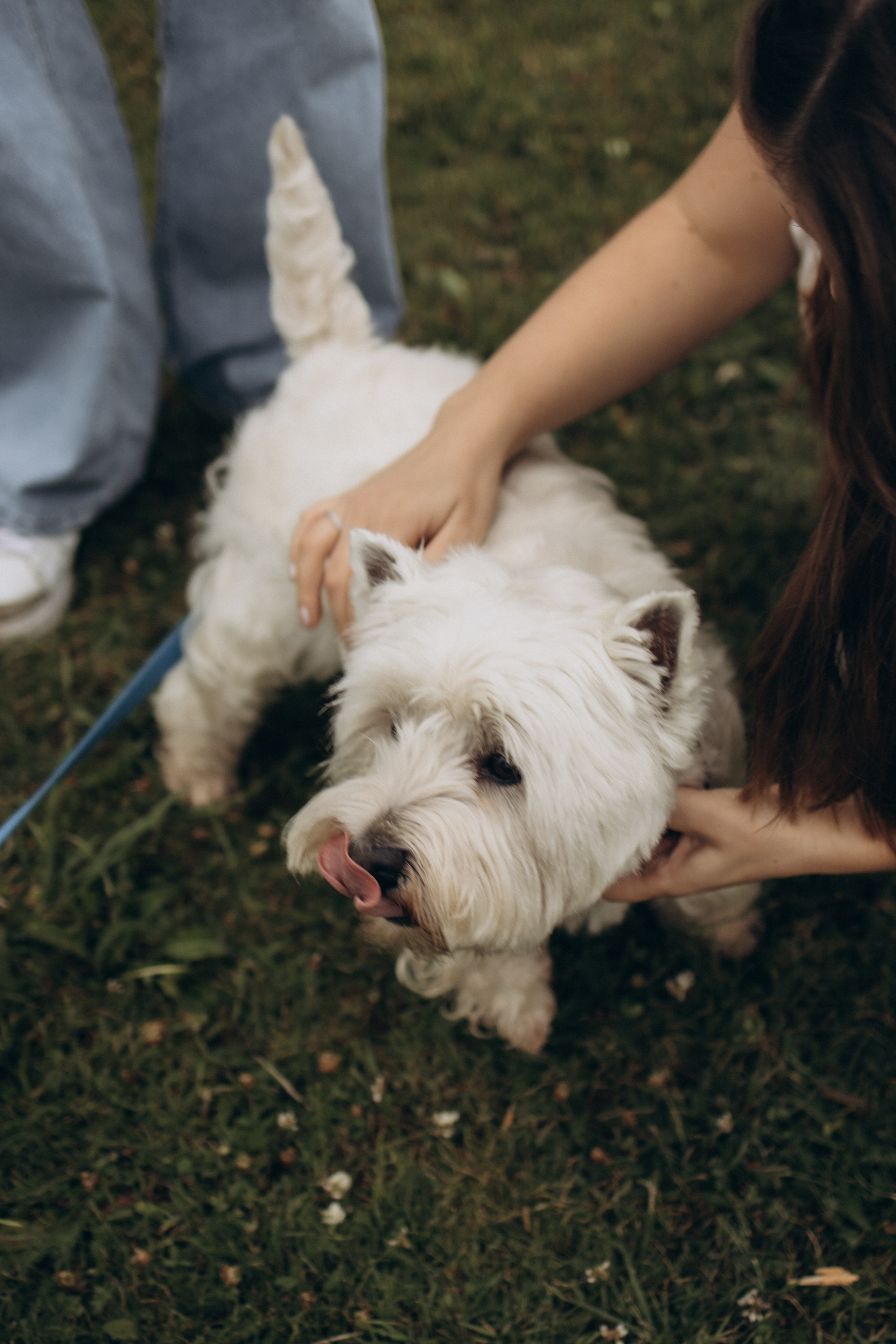 Моника, Мишель, Юлия, Дмитрий и песик Беня. Семейный, домашний, ньюборн фотограф Москва Цветкова Елизавета