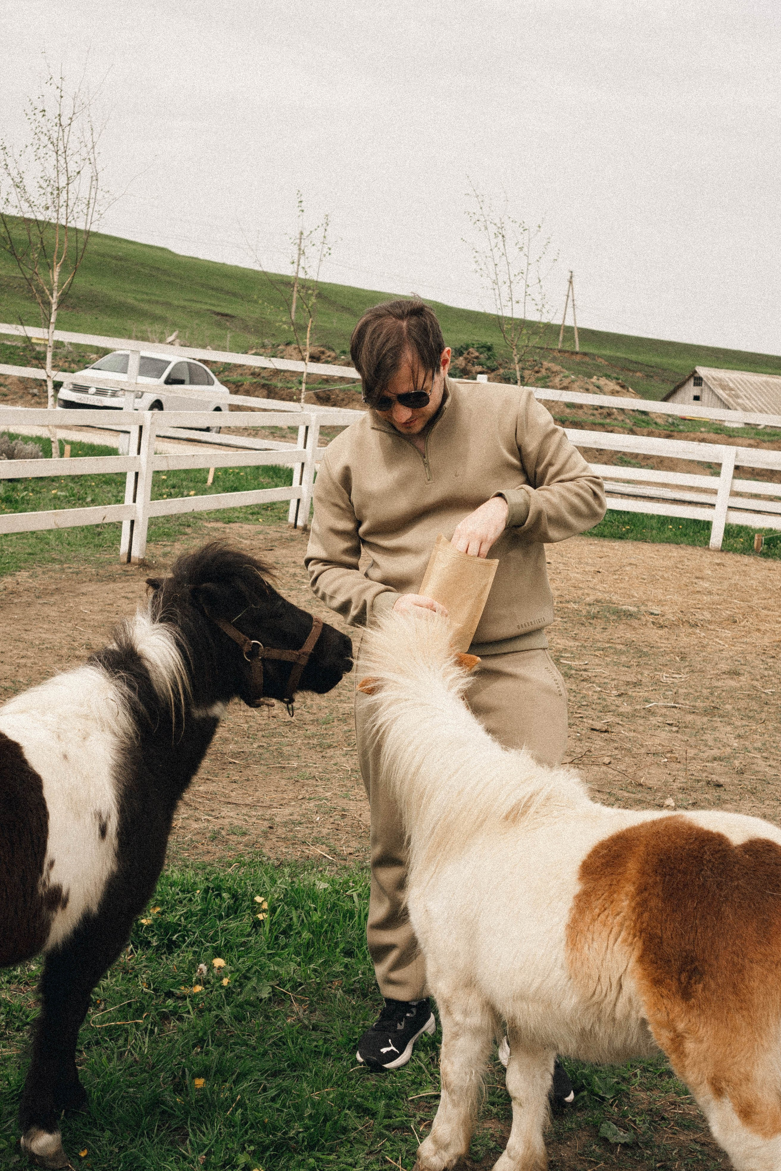 Ферма Альпак. Профессиональный фотограф, Санкт-Петербург — Виктория Богомолова