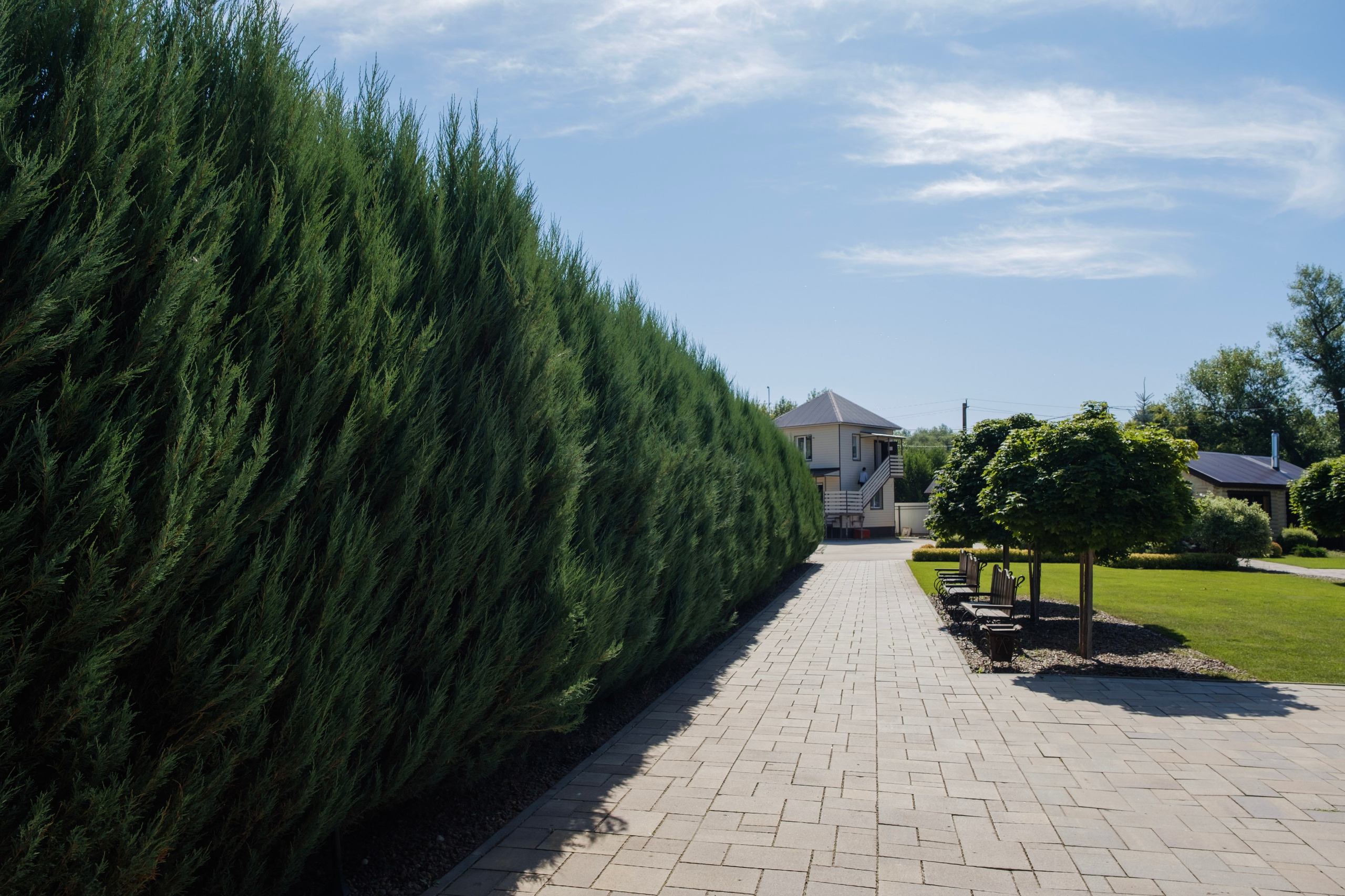 Нет на Карте. Wedding photographer