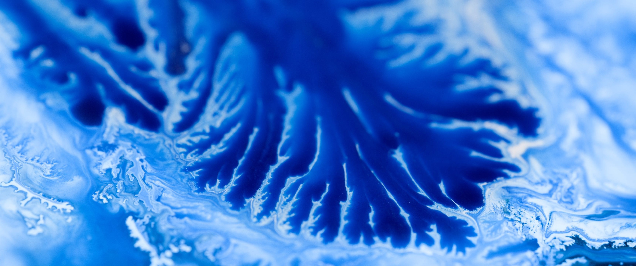 Genesis. Short films by Vadim Sherbakov