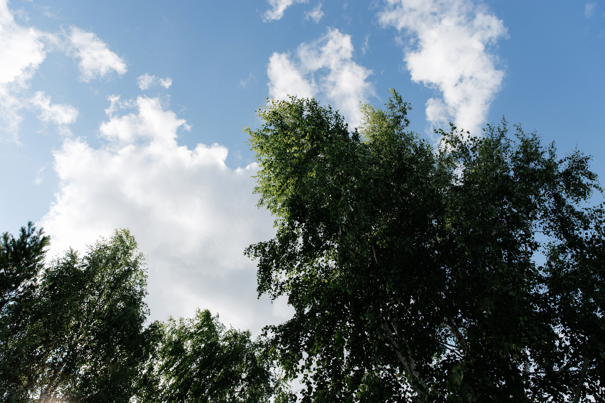 Эдуард и Елизавета. Свадебный фотограф в Екатеринбурге Александр Перепечин
