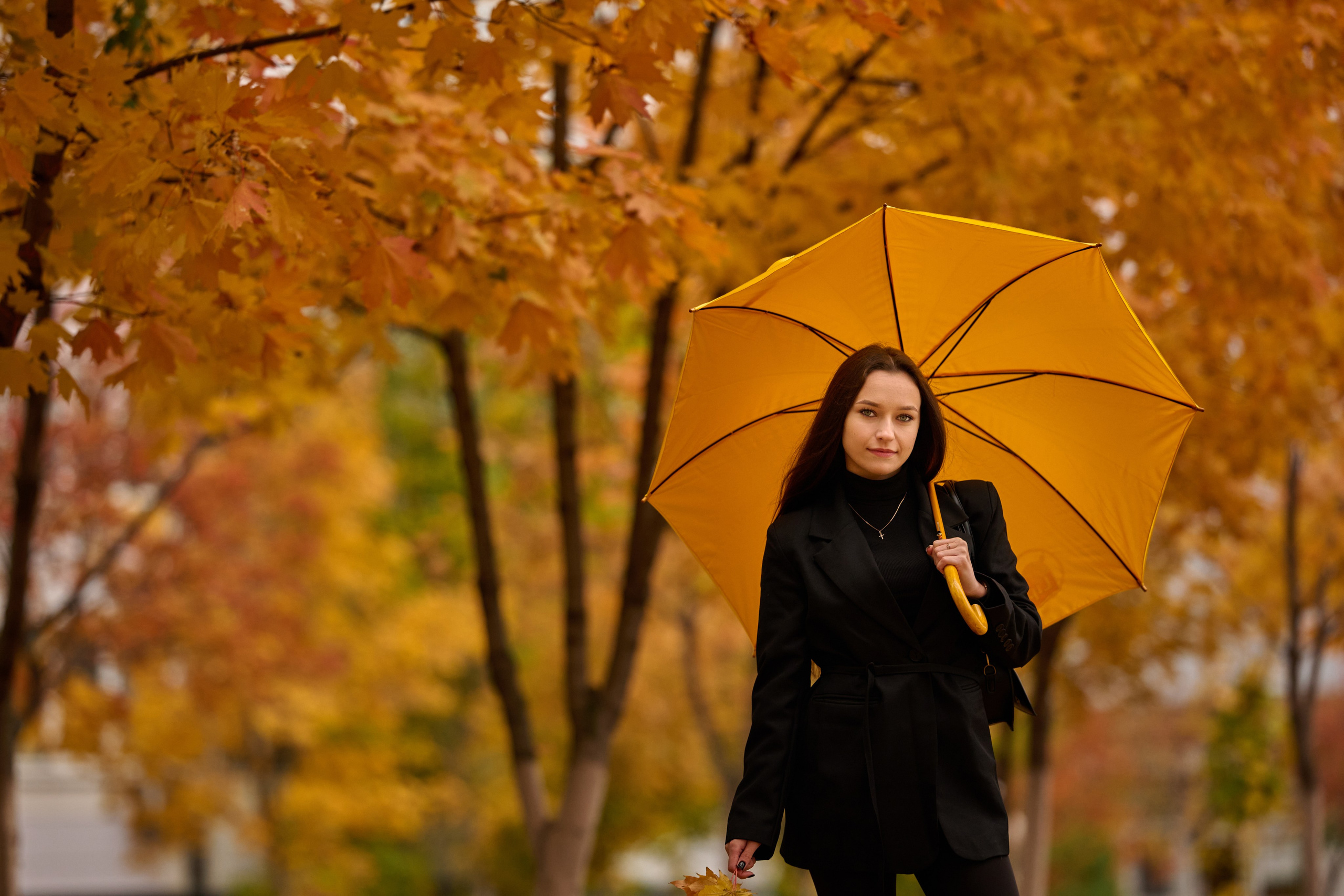 Золотая осень в Старом Осколе