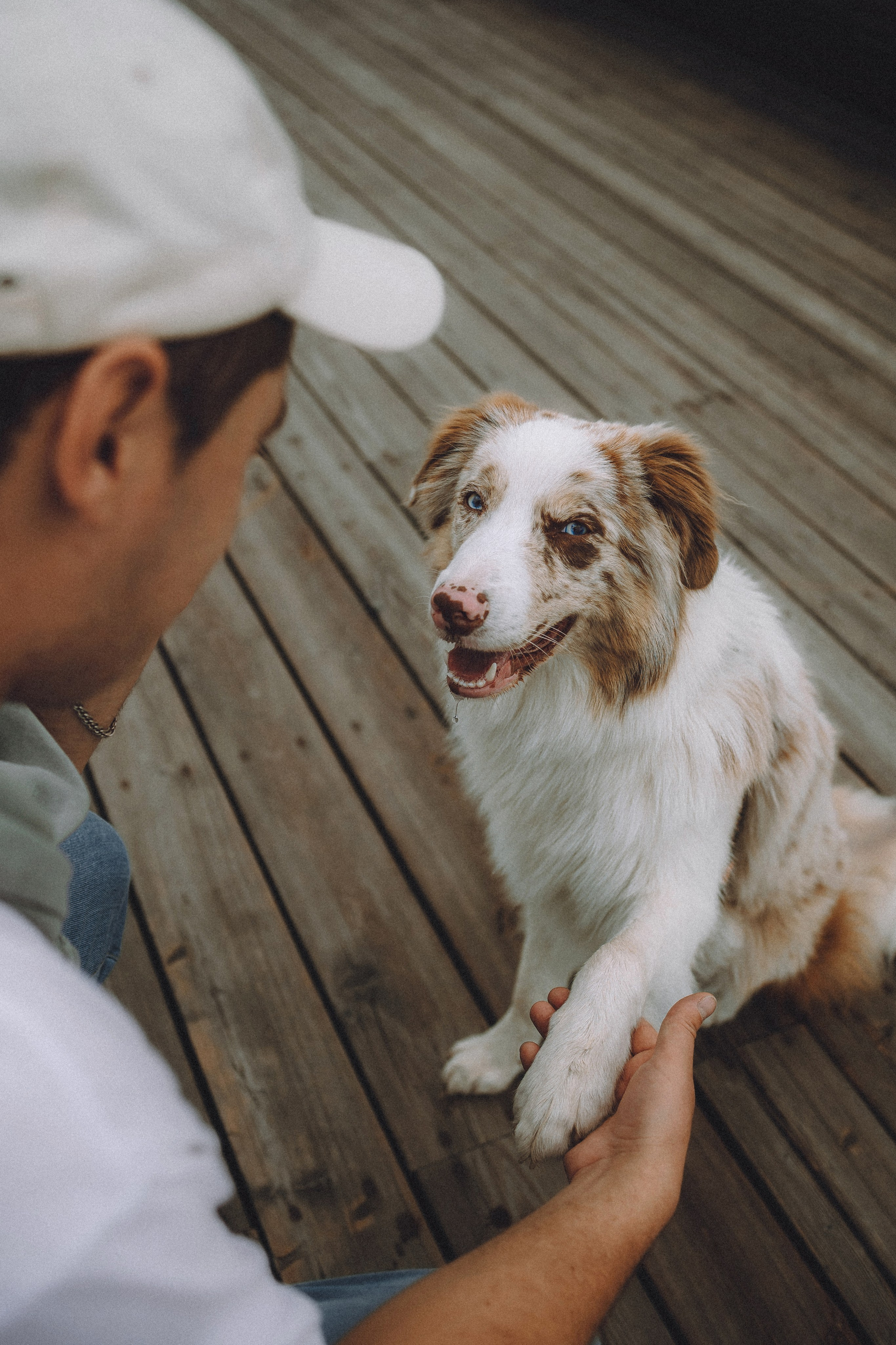 Один и его семья