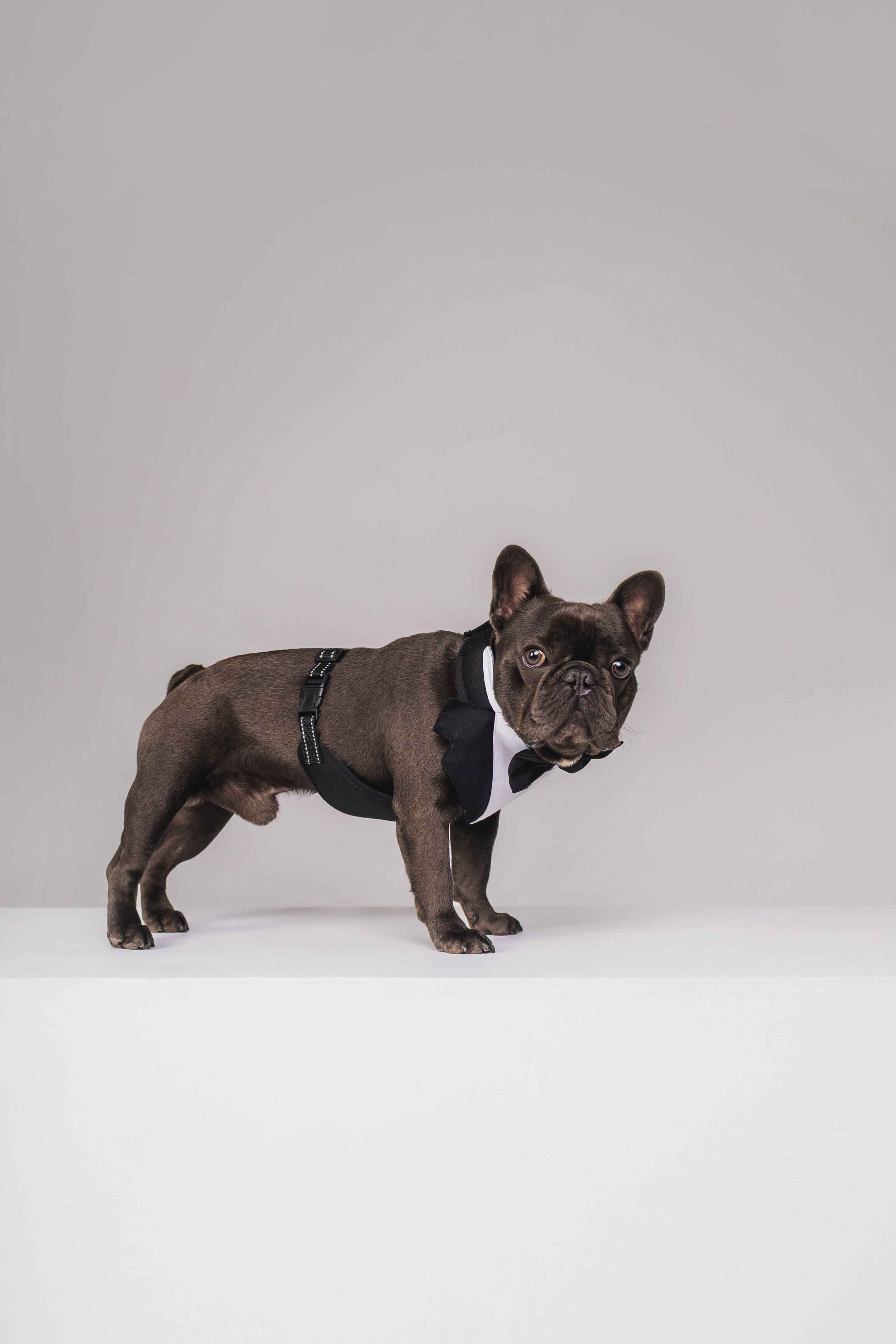 Кристина и Счастье