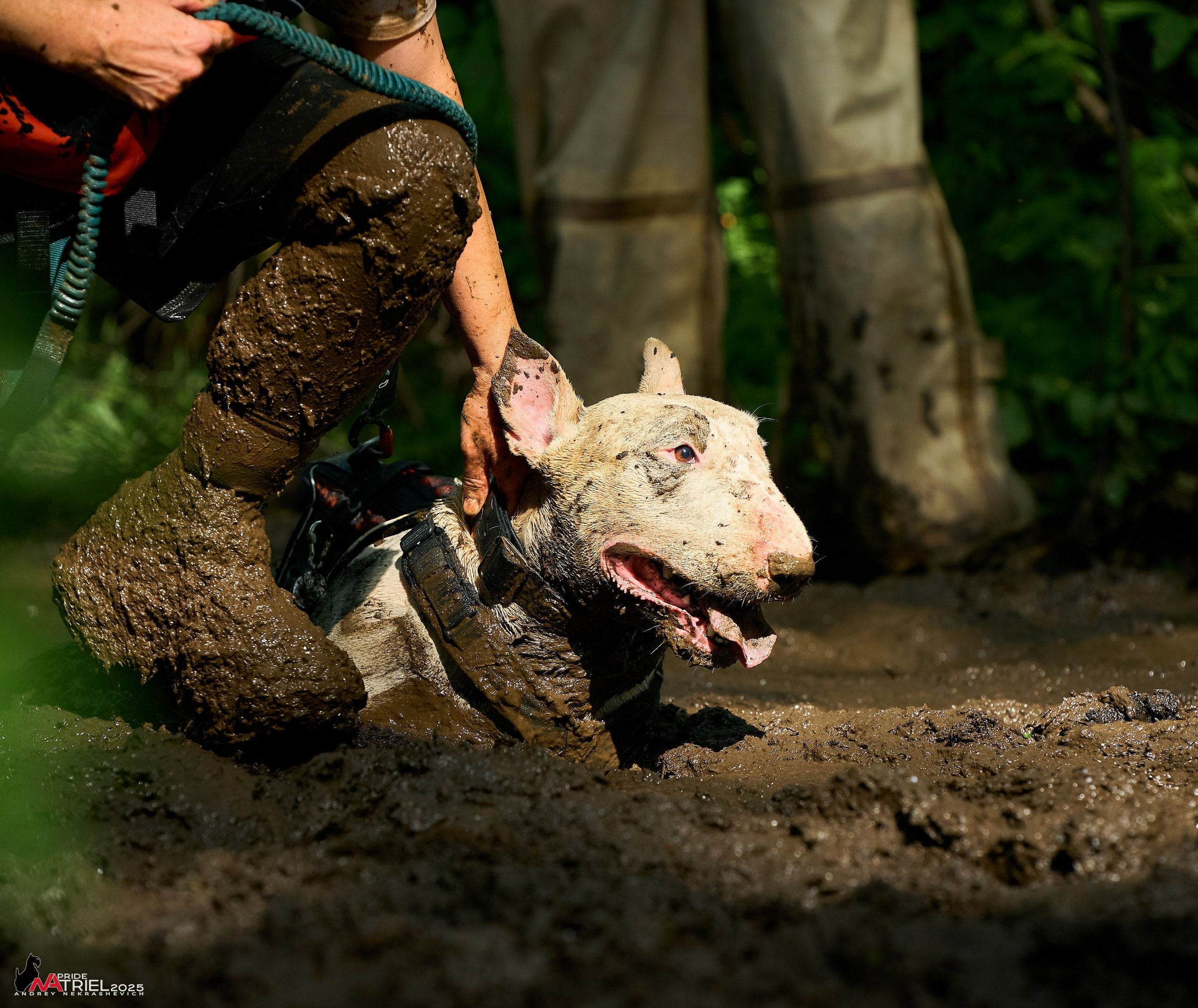 Russian Extreme Dog Trail — 2025