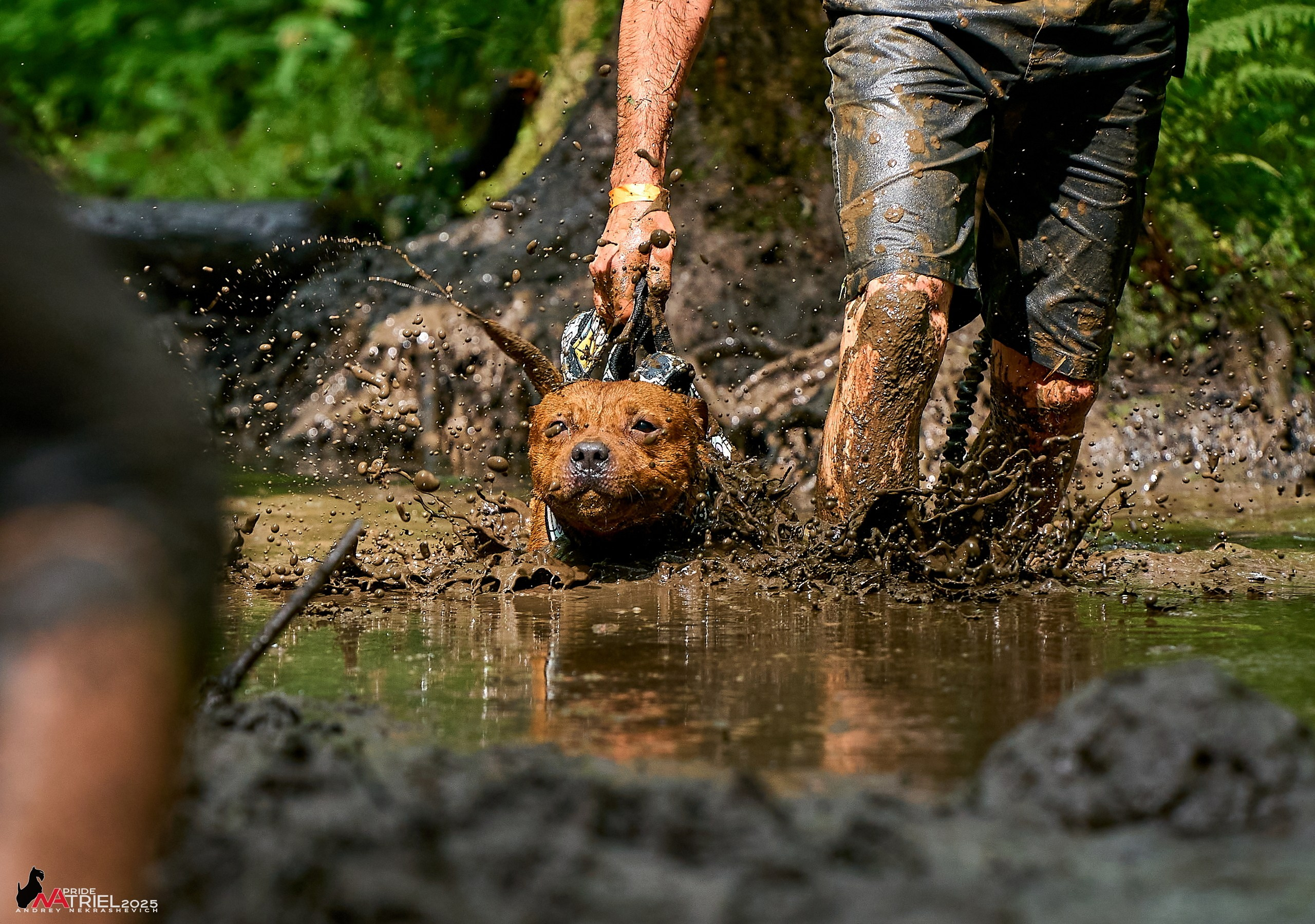 Russian Extreme Dog Trail — 2025