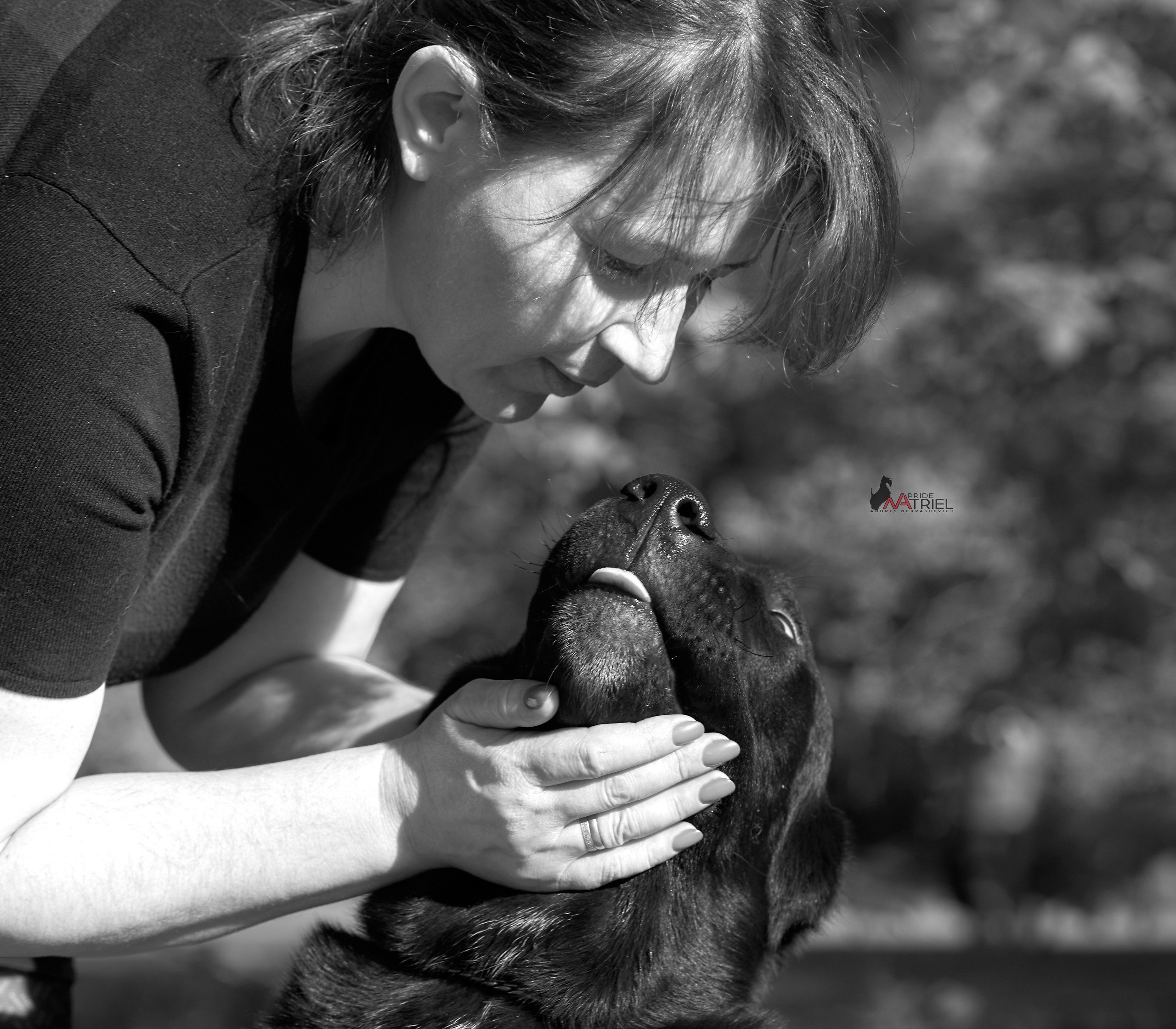 Картинки с выставки — галерея NATRIEL