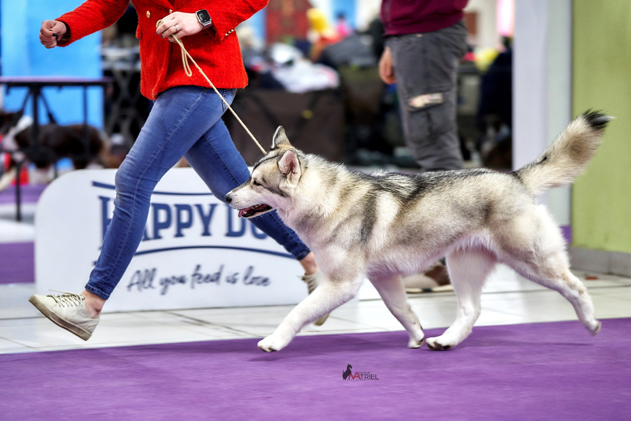 Работа в рингах — галерея NATRIEL
