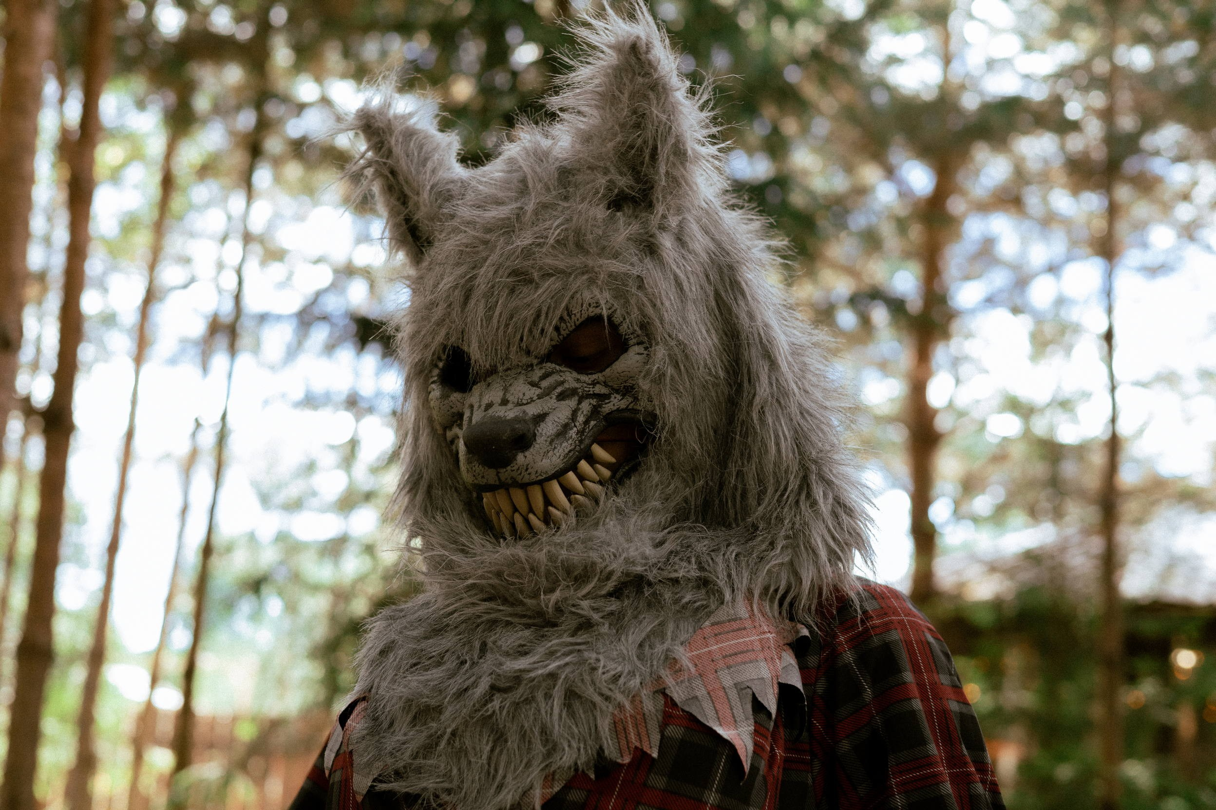 Детские мероприятия. Диана Королёнок — Свадебный и Репортажный фотограф в Москве