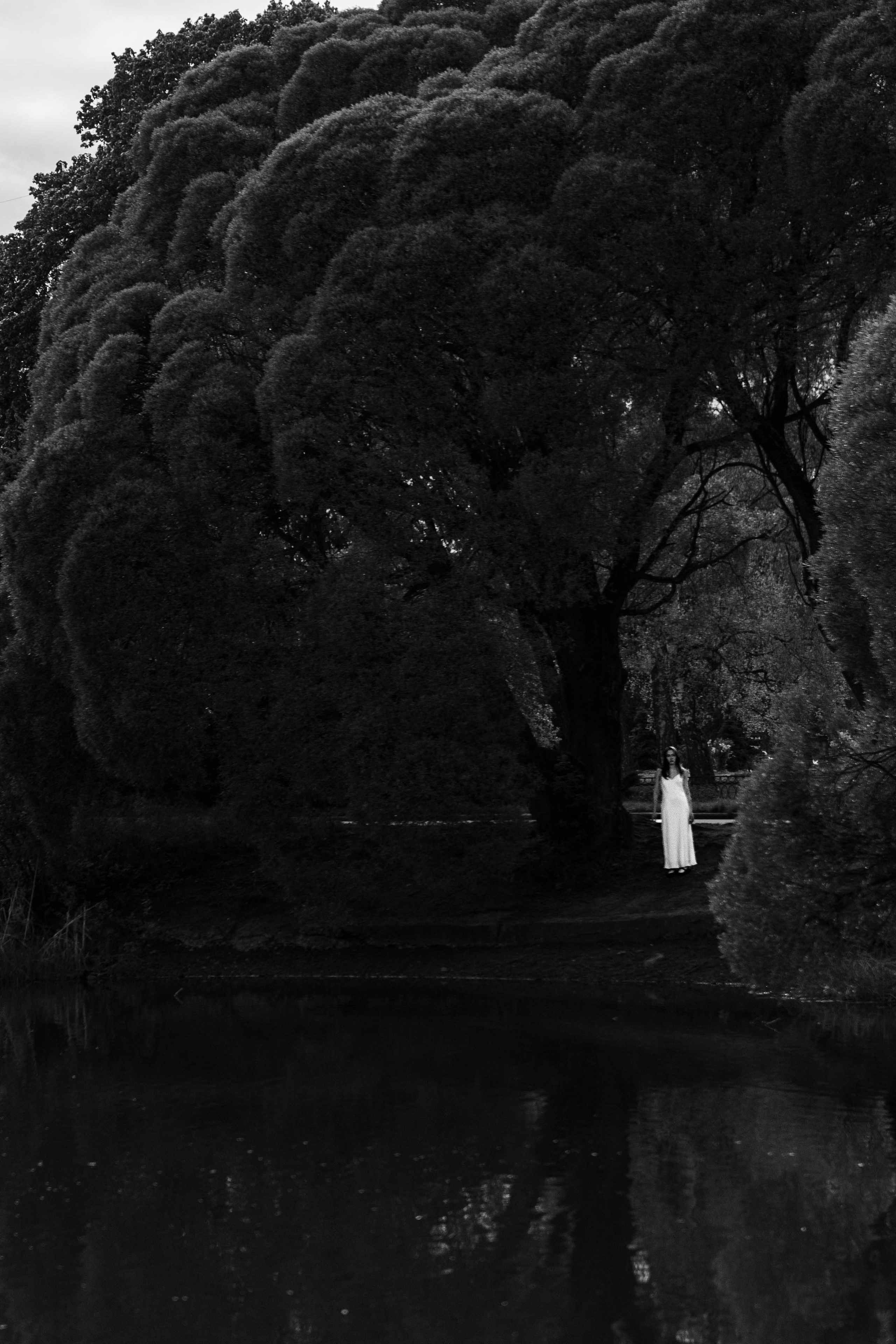 Леди. Beardy Pix