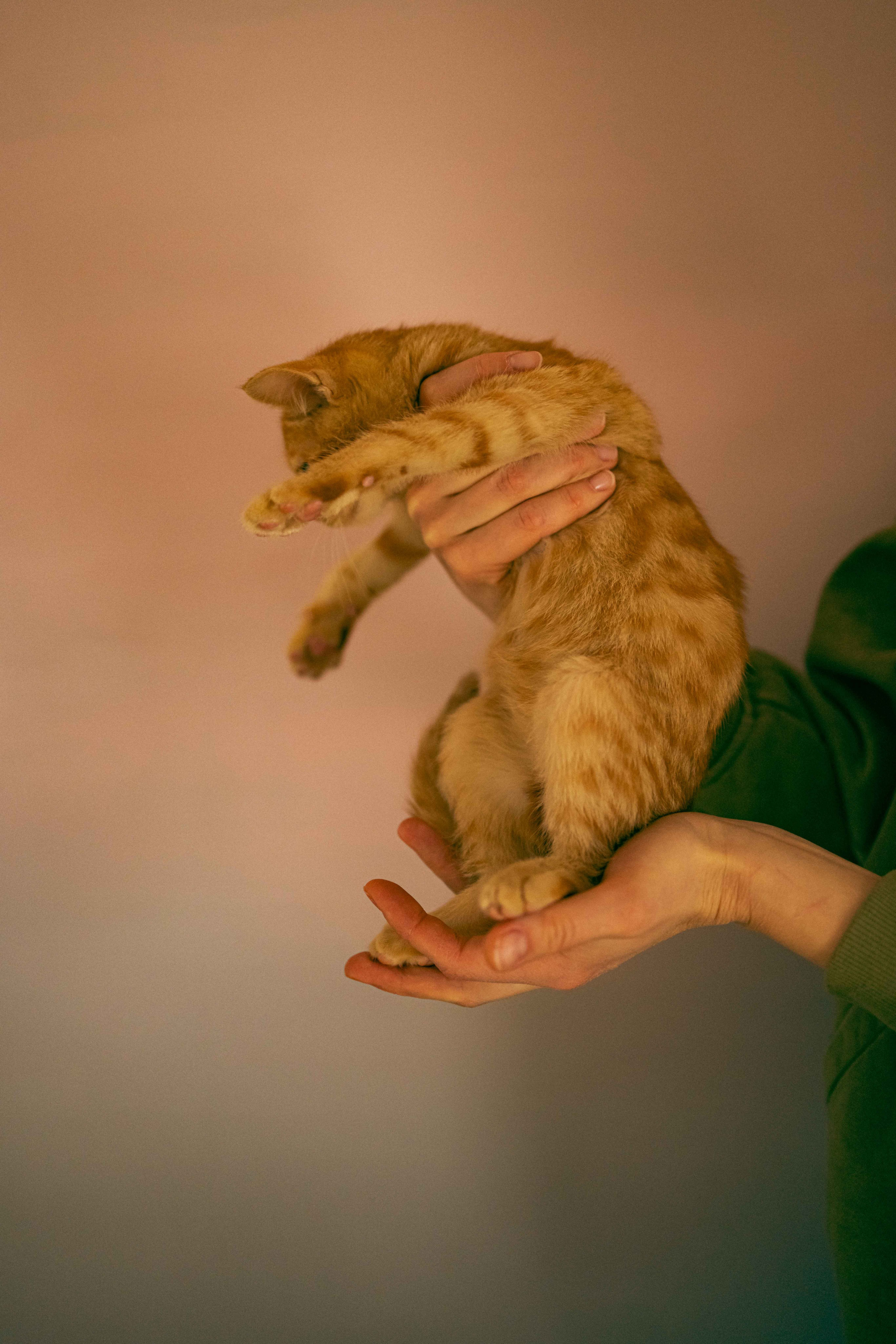 Кускус. Фотограф-анималист в Москве Лера Черноног