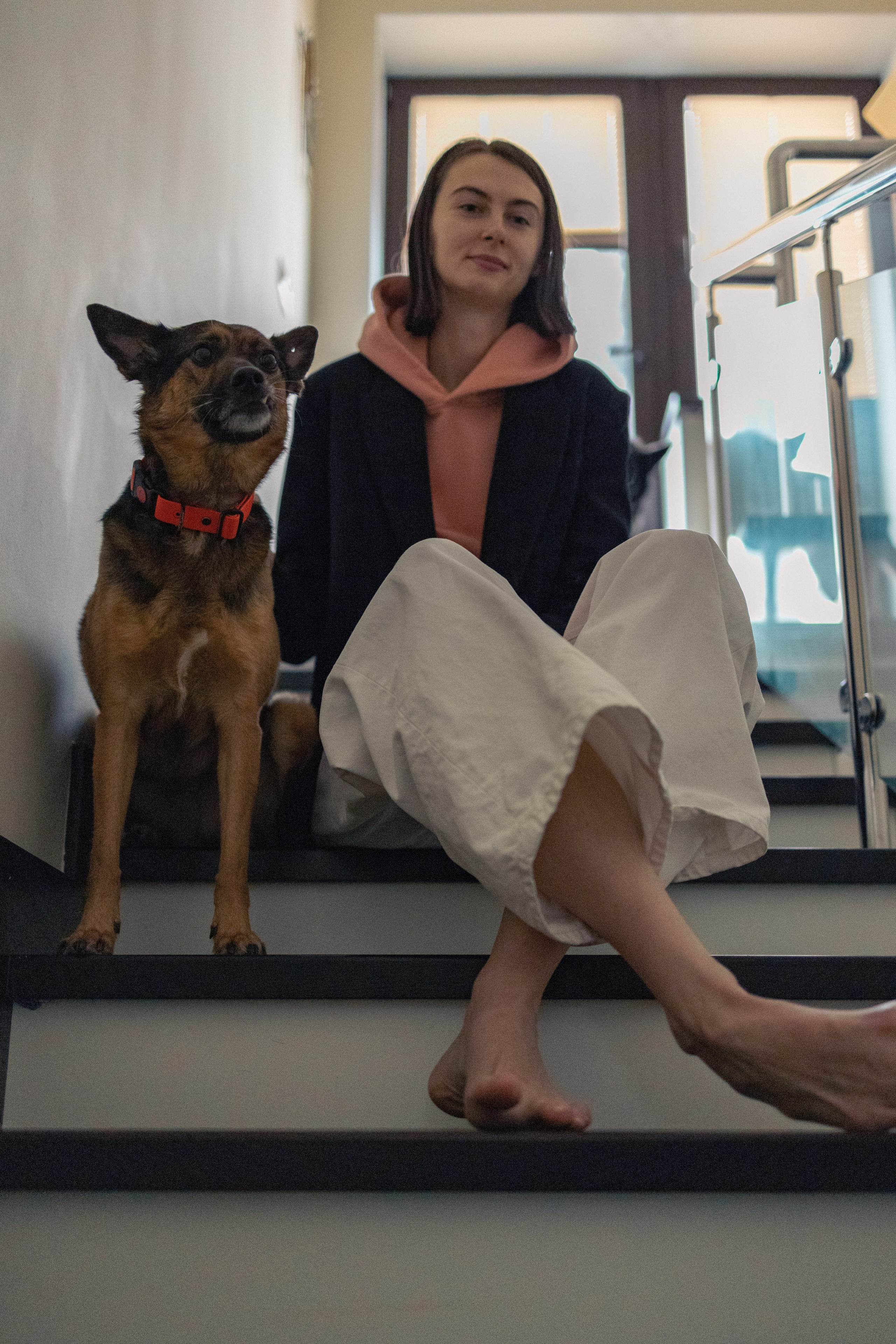 Ника, Матиша и Герда. Фотограф-анималист в Москве Лера Черноног