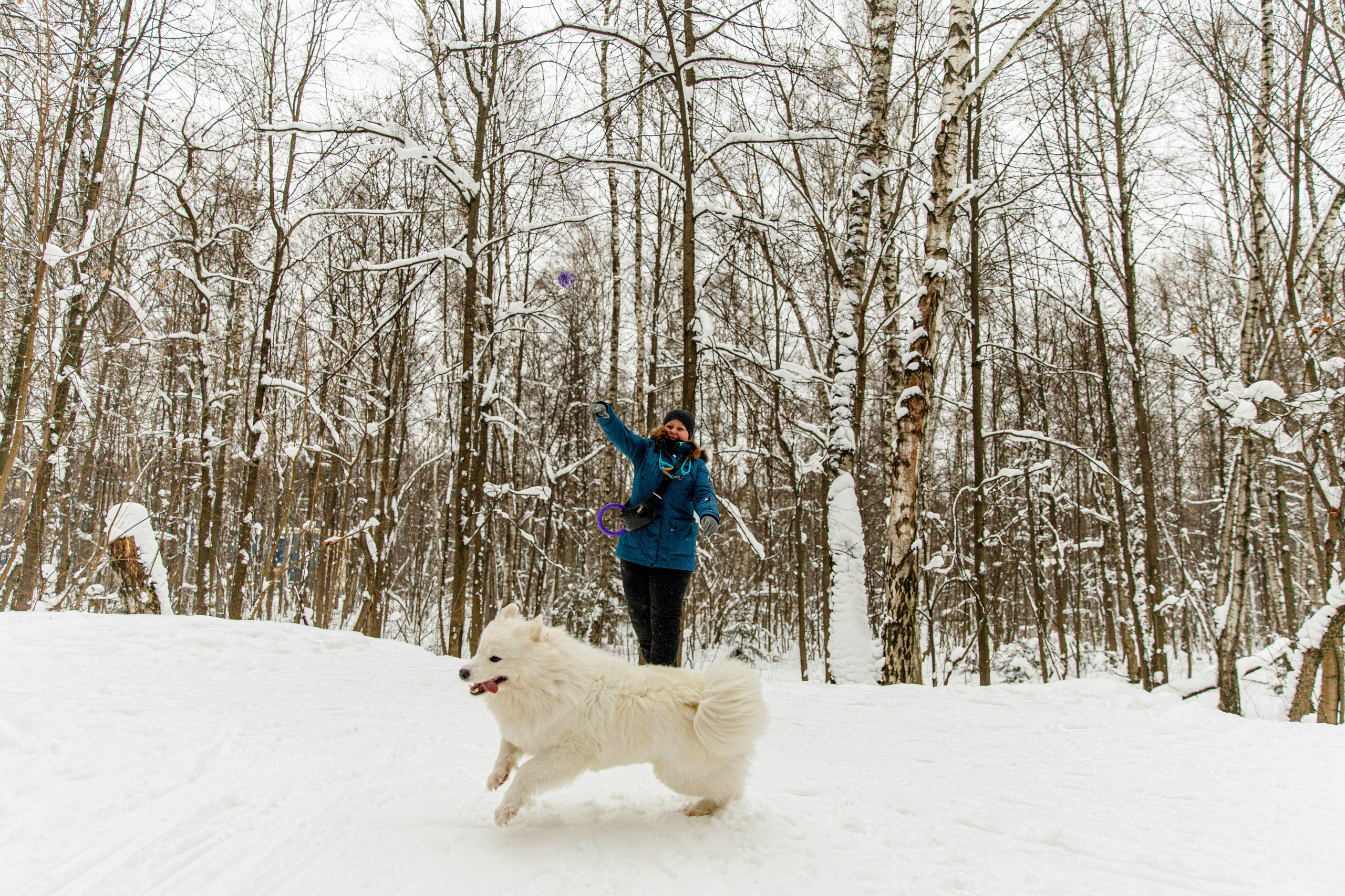 Наталья и Бася. Фотограф-анималист в Москве Соломонова Варвара