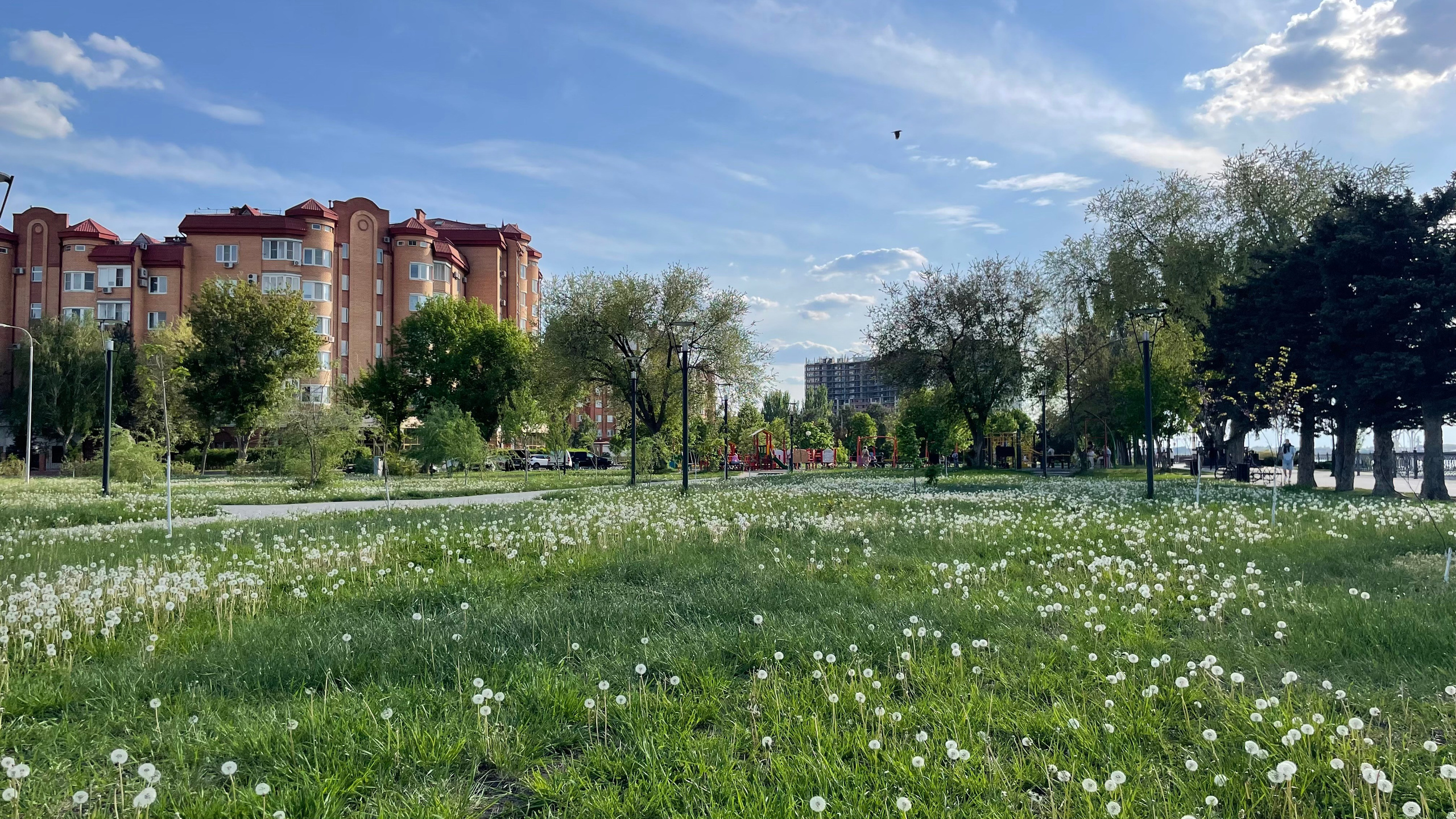 Заметки горожанина. Творческий фотограф/видеограф в Астрахани Абушаев Ренат