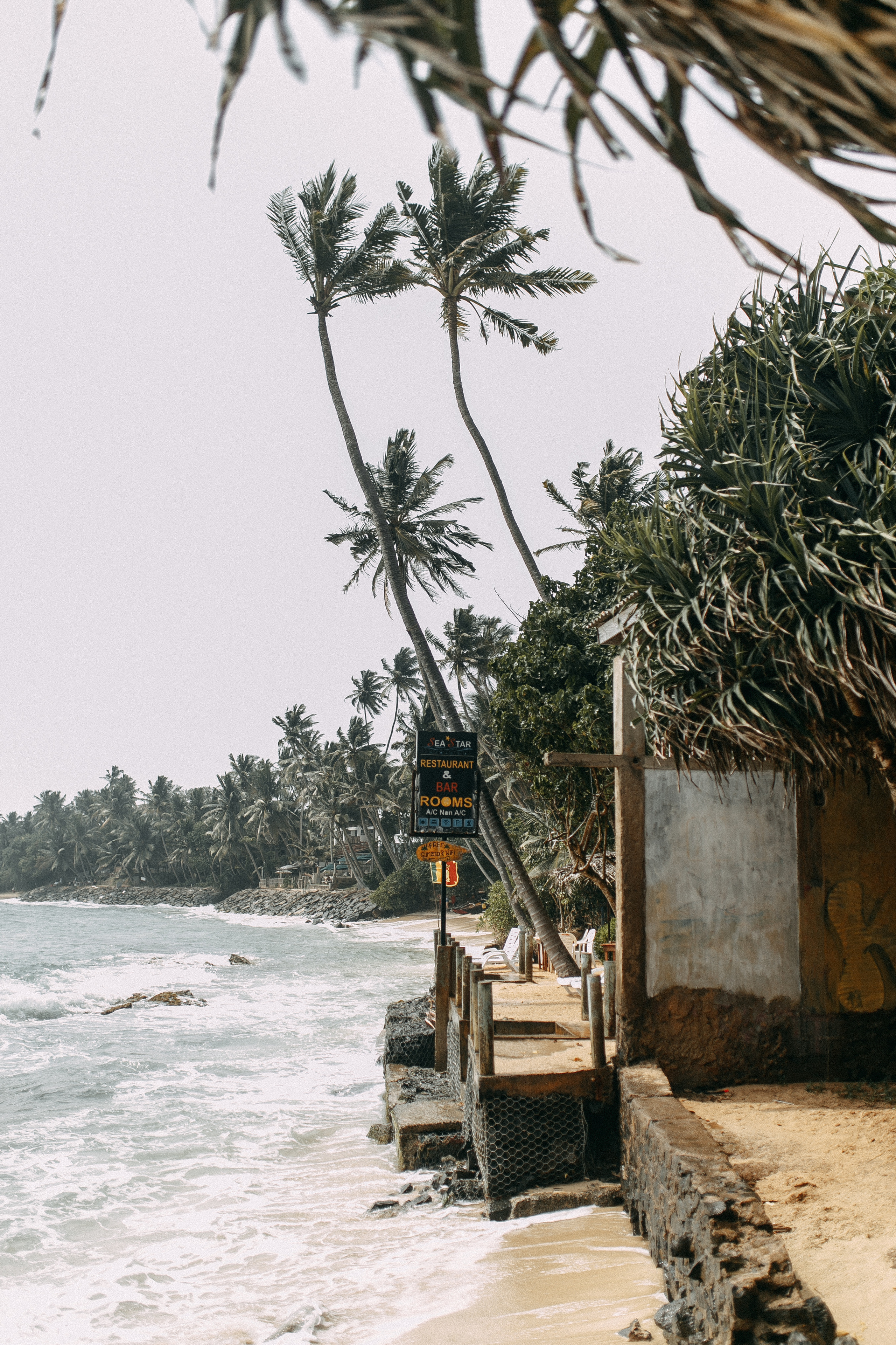 Шри Ланка. Свадебный фотограф Сочи Елена Казакова