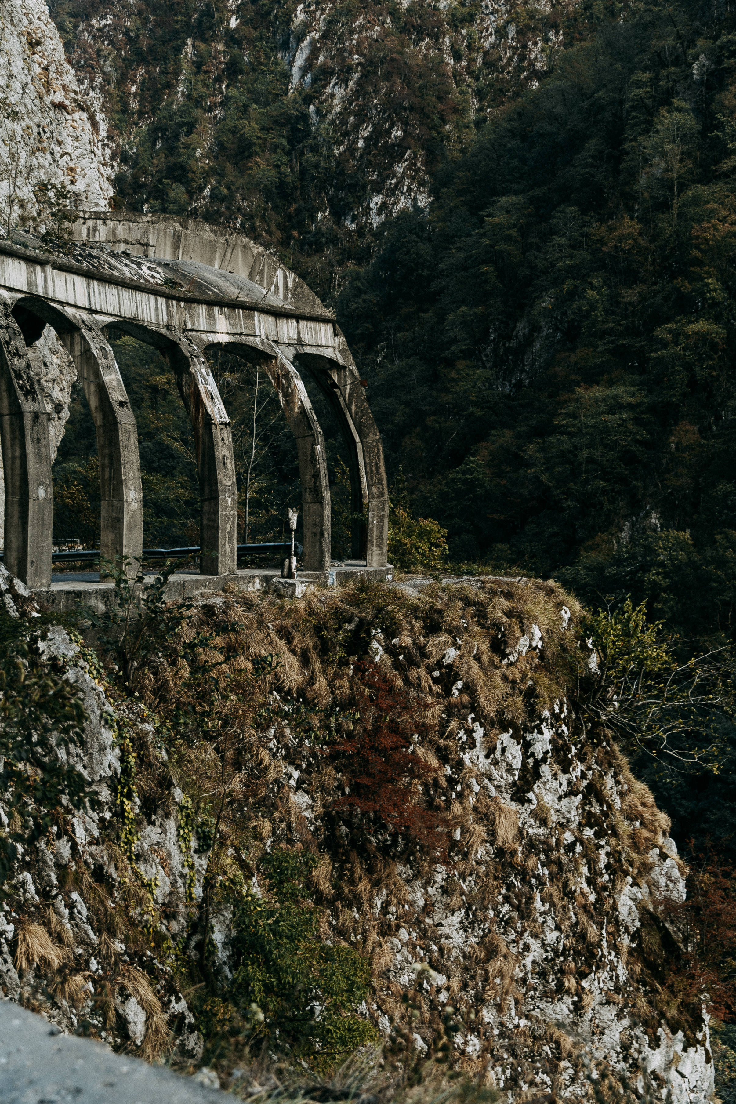 Мария и Илья. Свадьба в горах. Свадебный фотограф Сочи Елена Казакова