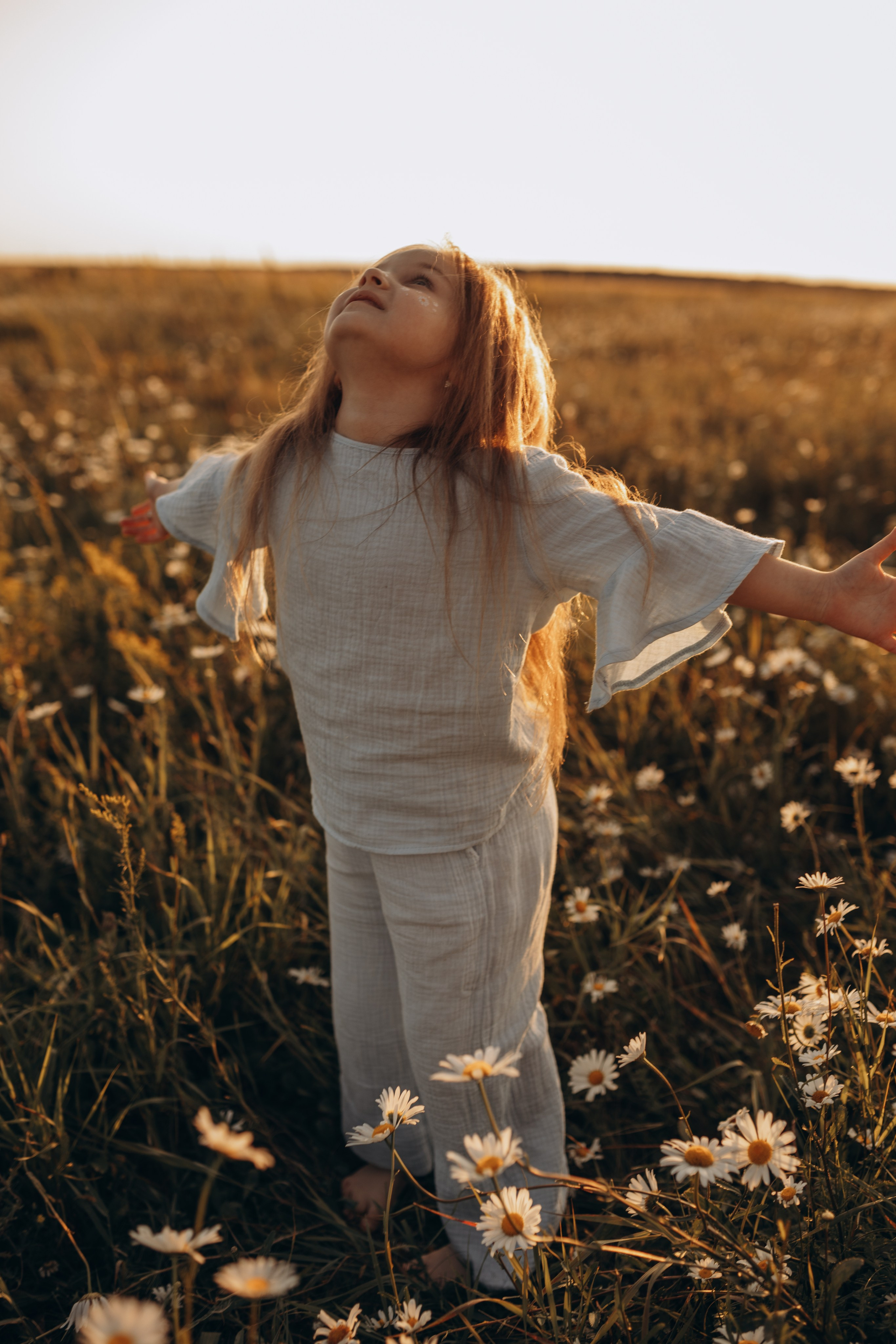 Закат на ромашковом поле. Фотограф в Ставрополе Svetlana Matveeva
