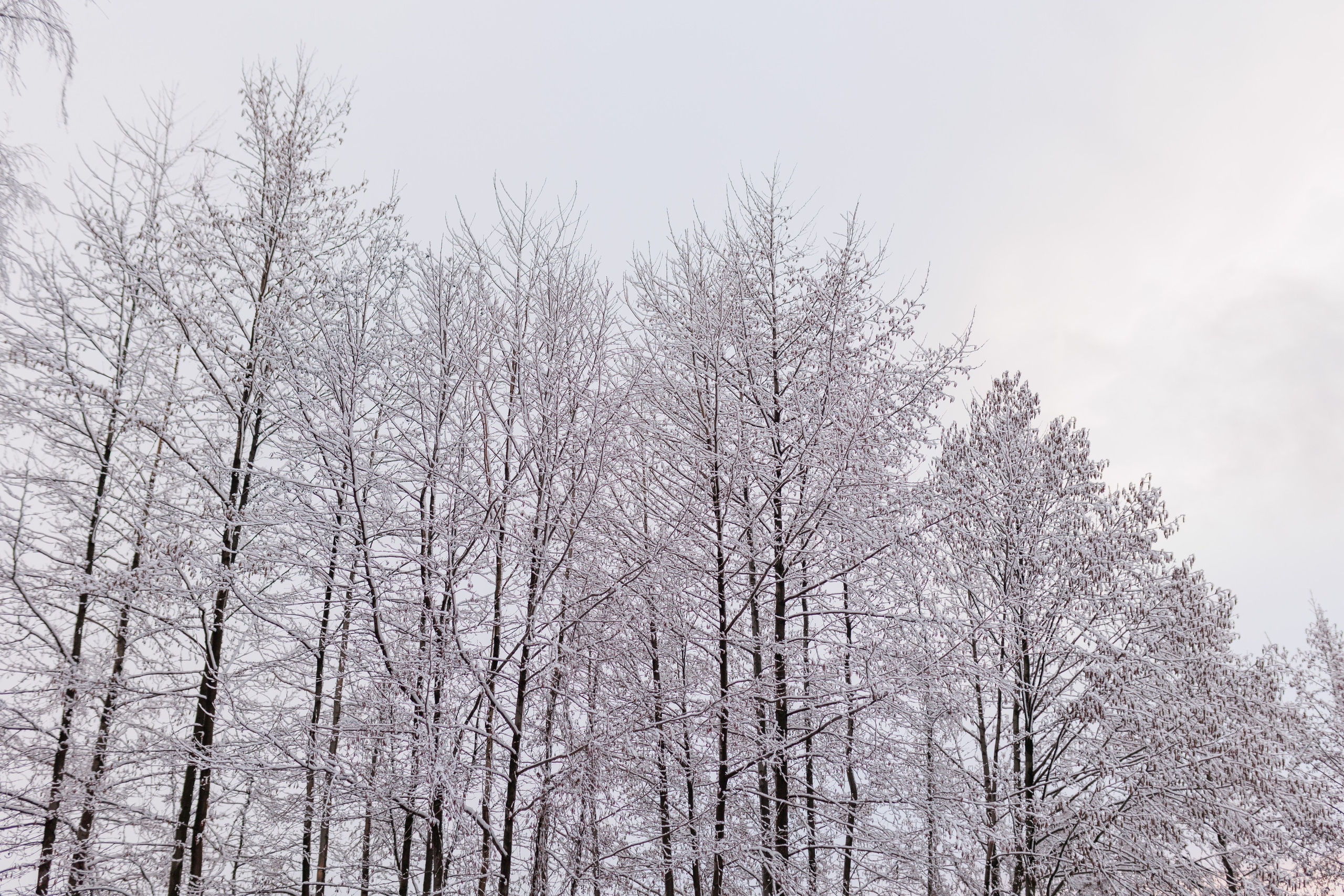 Это тебе. Фотограф городских и семейных событий Артем Карпухин