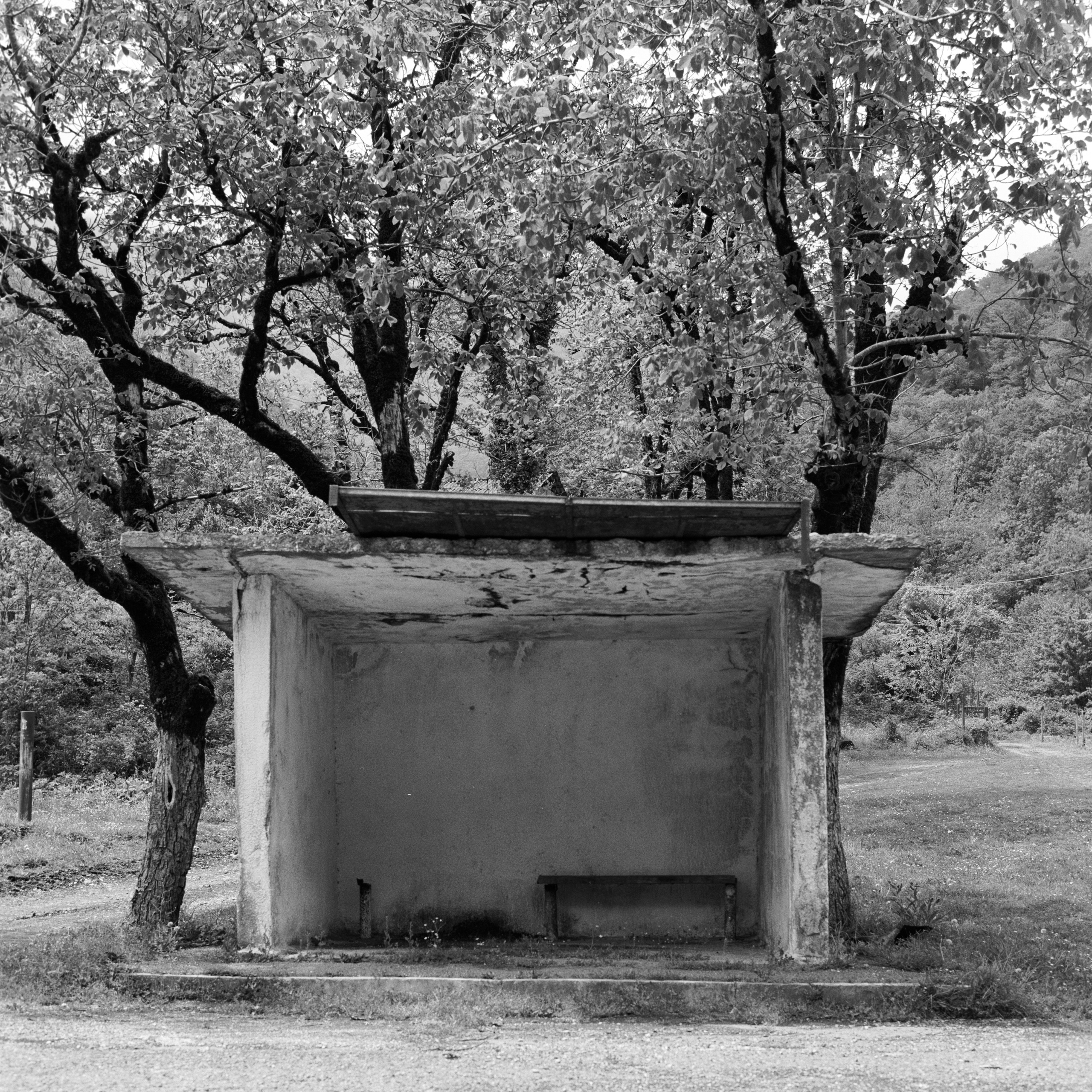 Natalia Tabakova art